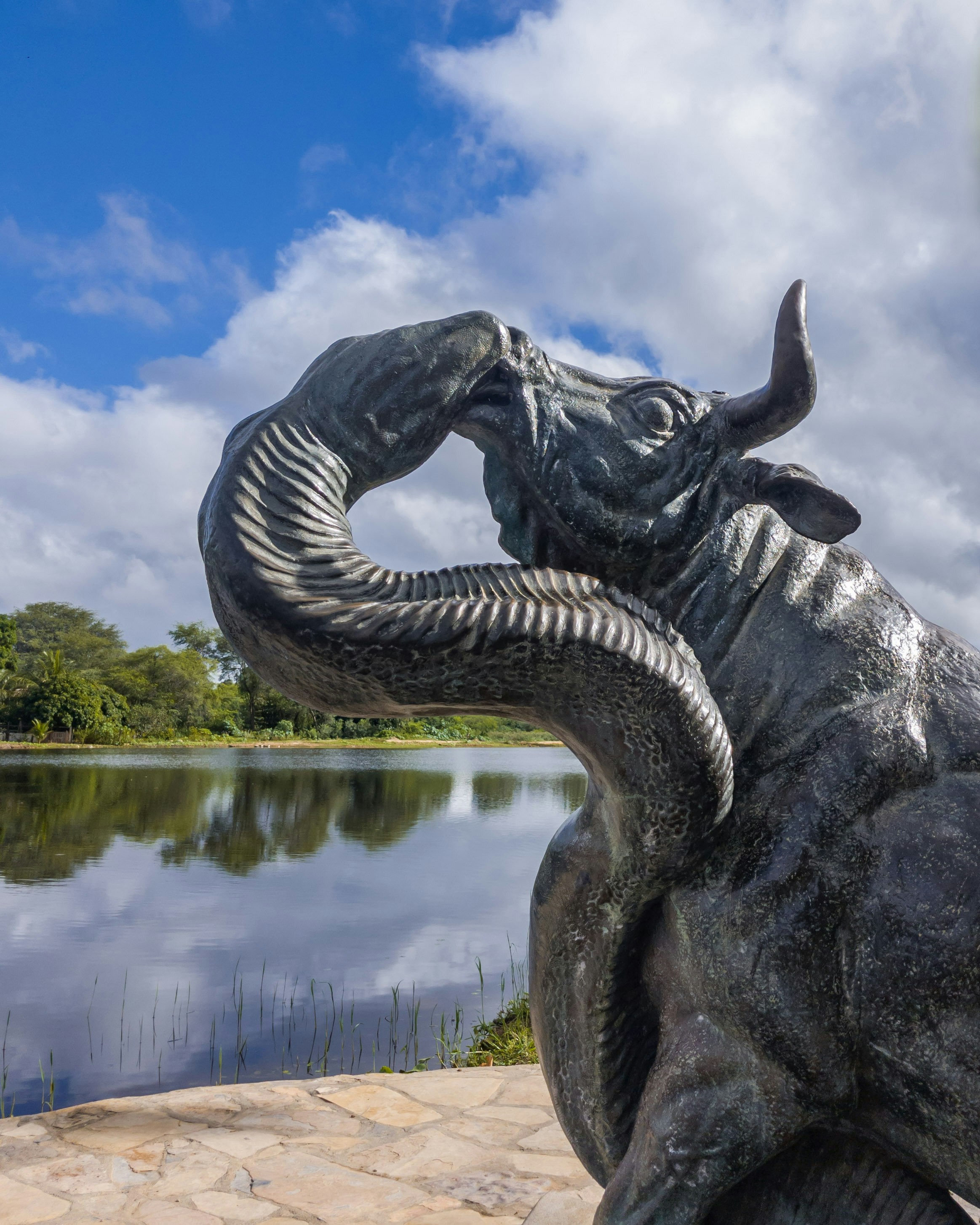 フォルドクソ雄牛