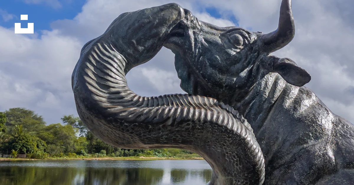 フォルドクソ雄牛