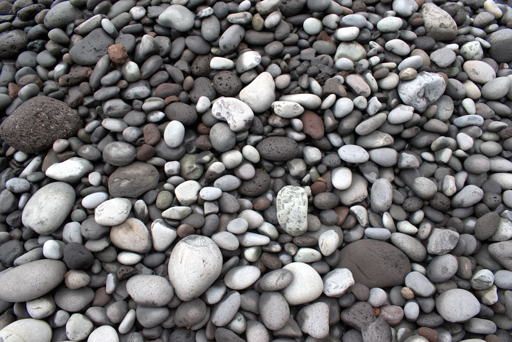 a close-up of a pile of rocks