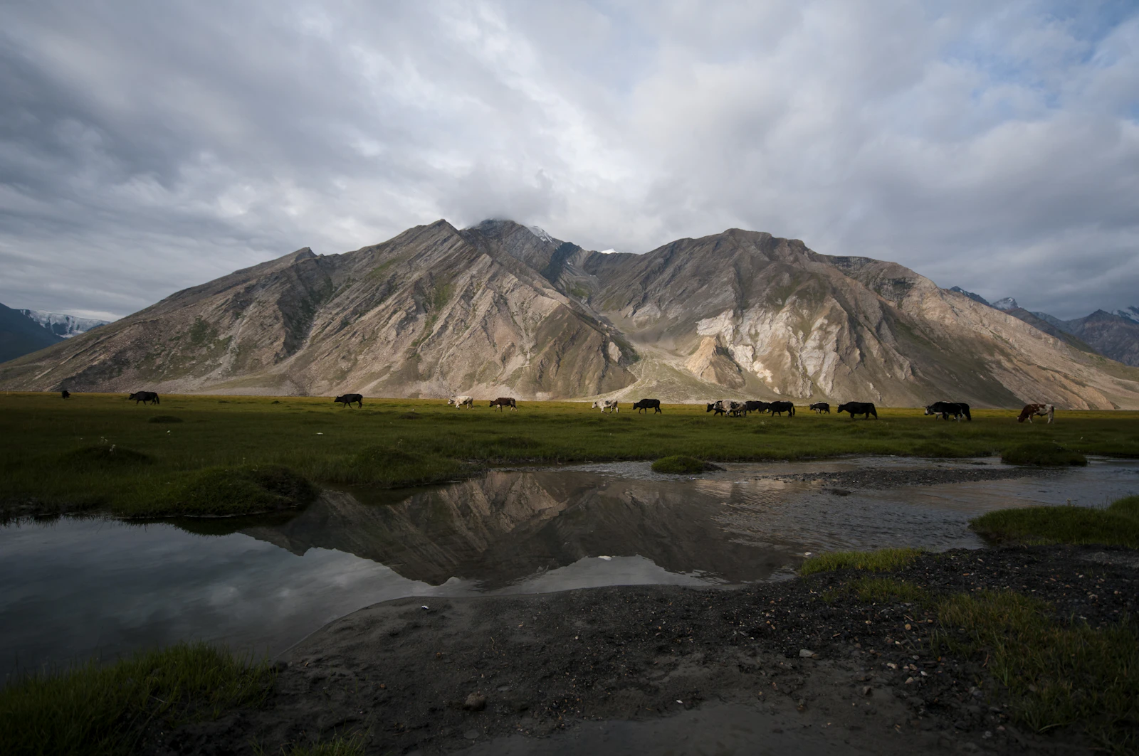 Zanskar Valley Trans-Himalayan Expedition Tour preview 3