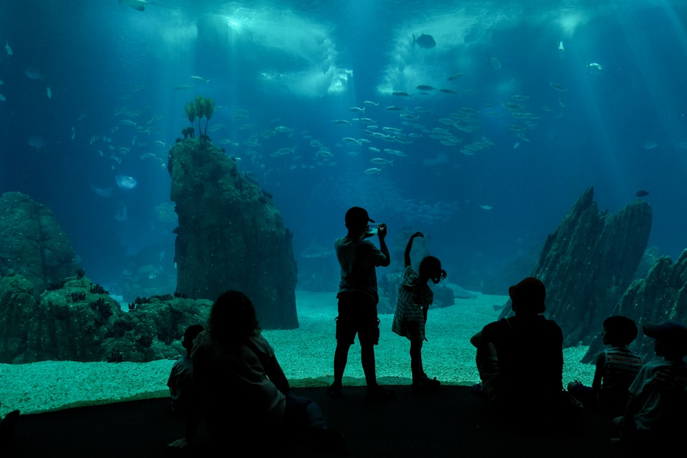 people looking at fish in water