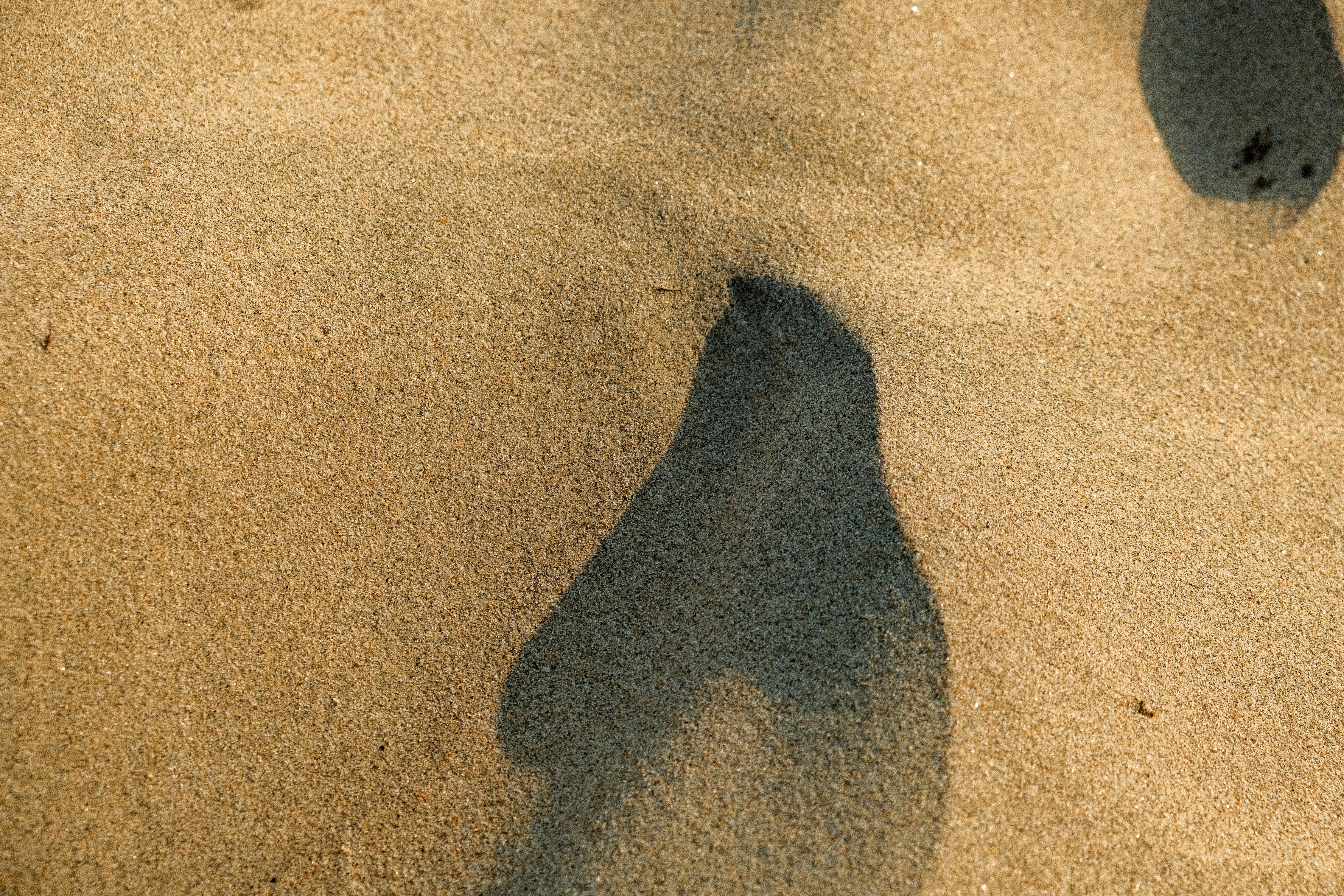 A silhouette of a man with a dark cloud hovering over his head, symbolizing the 