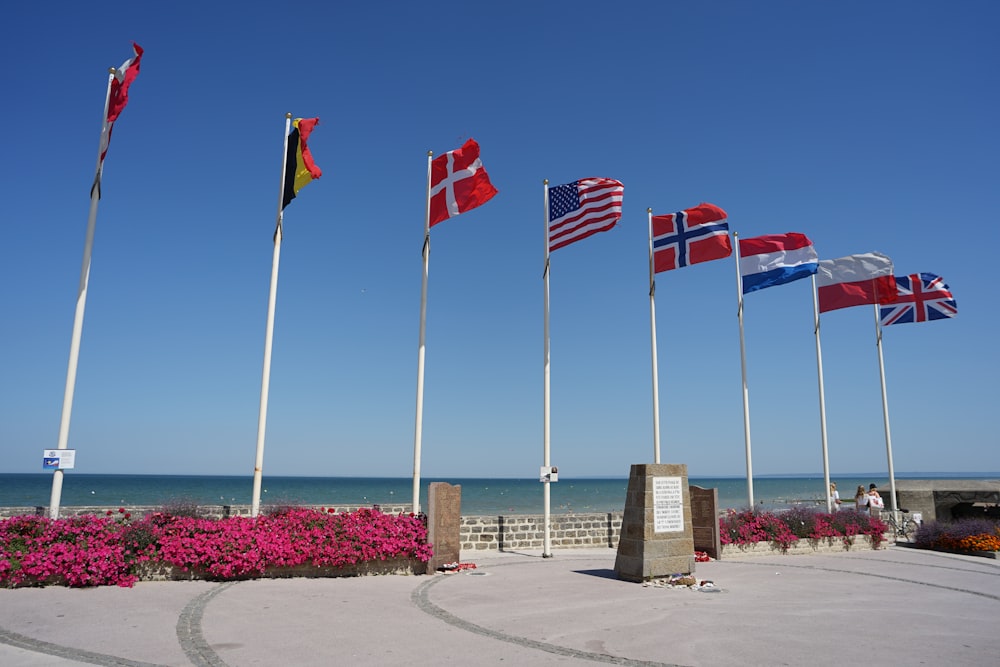 a group of flags on poles