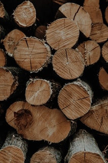 A pile of chopped wooden logs with visible tree rings and bark. The logs are stacked closely together, showcasing various shades of brown and hints of green from the moss on the bark.