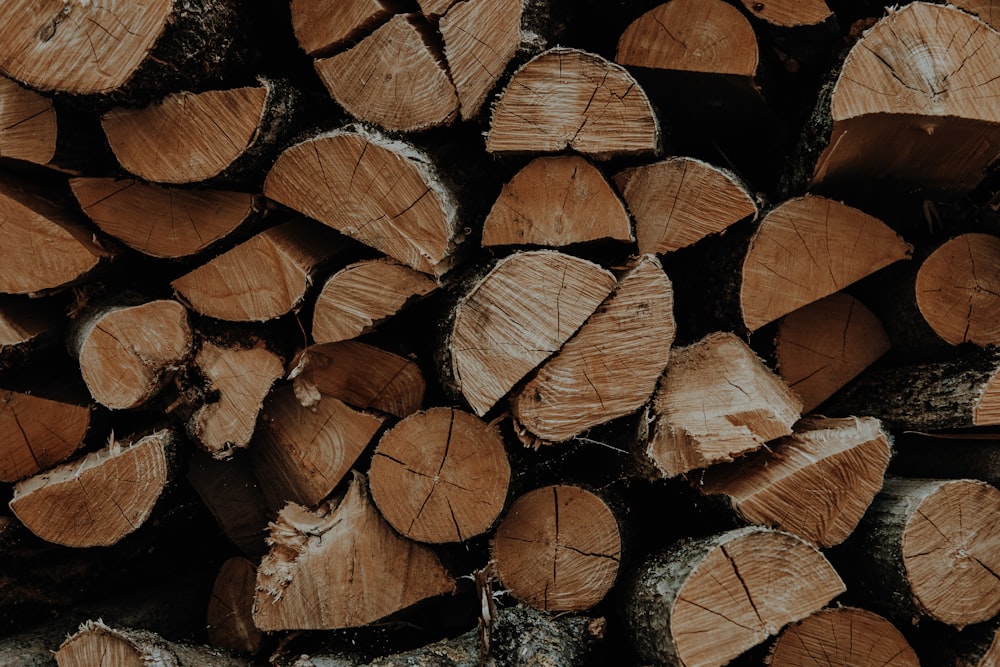 a group of cut logs