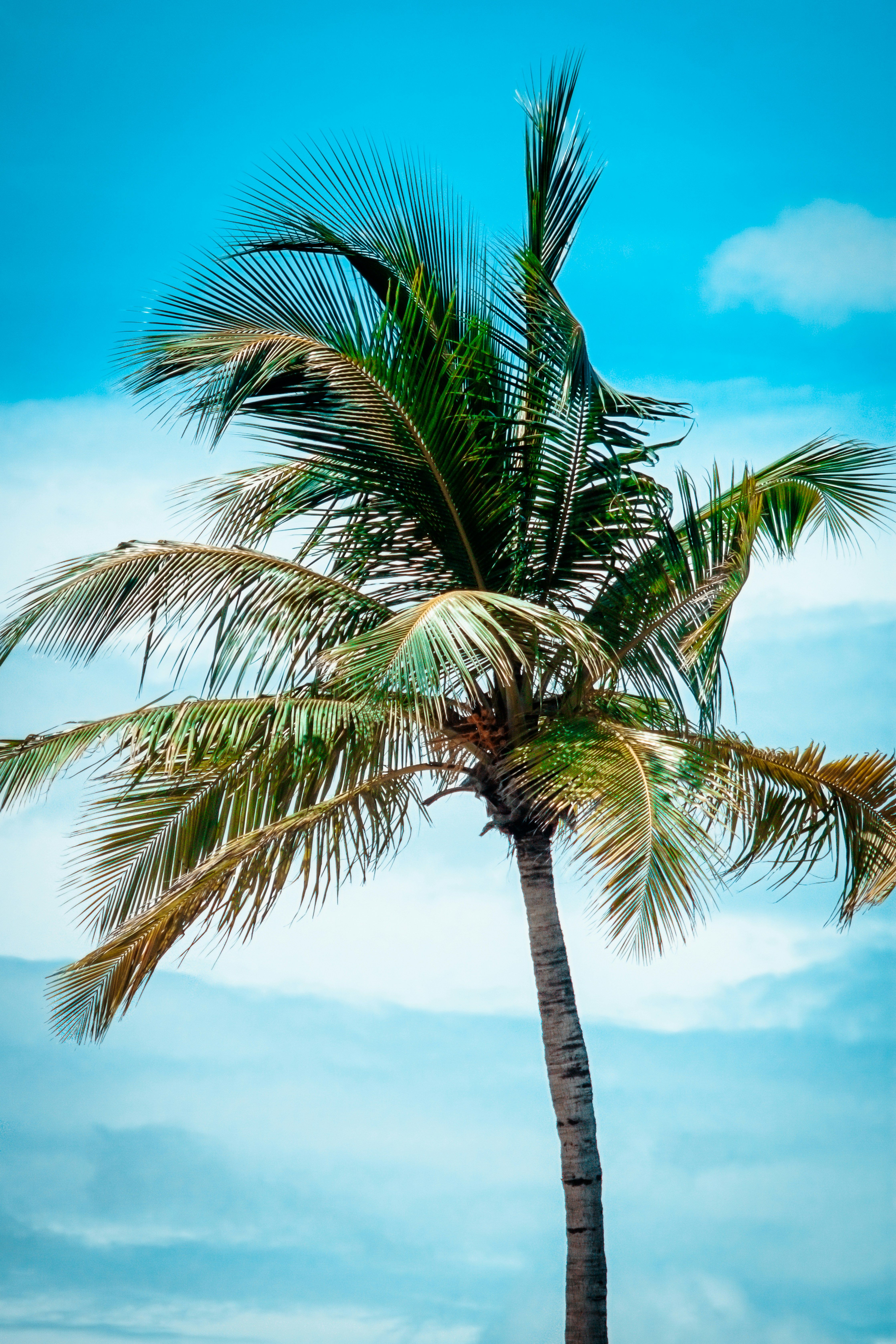 Photo by thelyariguy