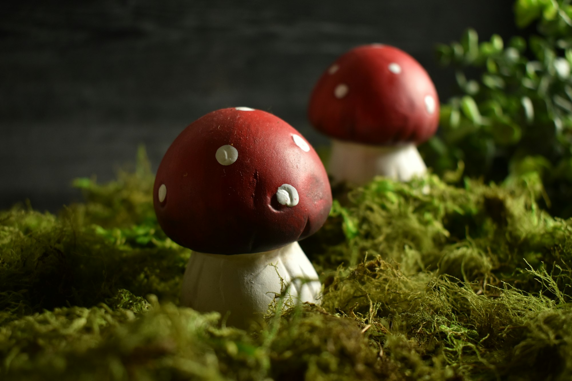 Mushrooms are home to many fairies in many movies.