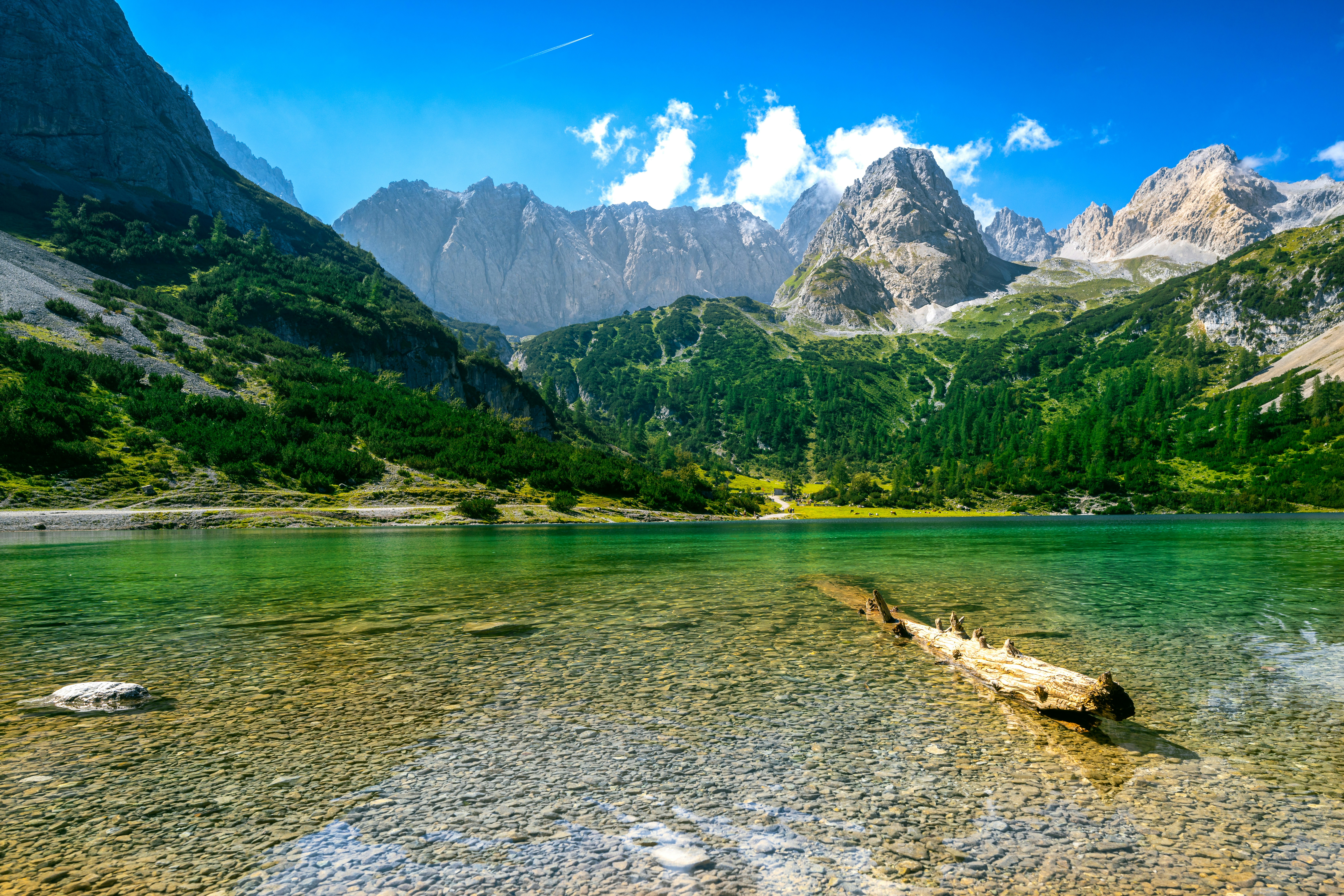 Photo by picture_scape