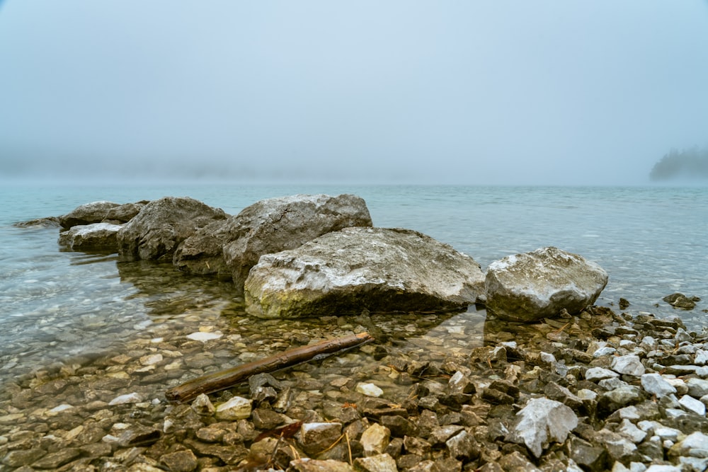 a rocky beach with a log