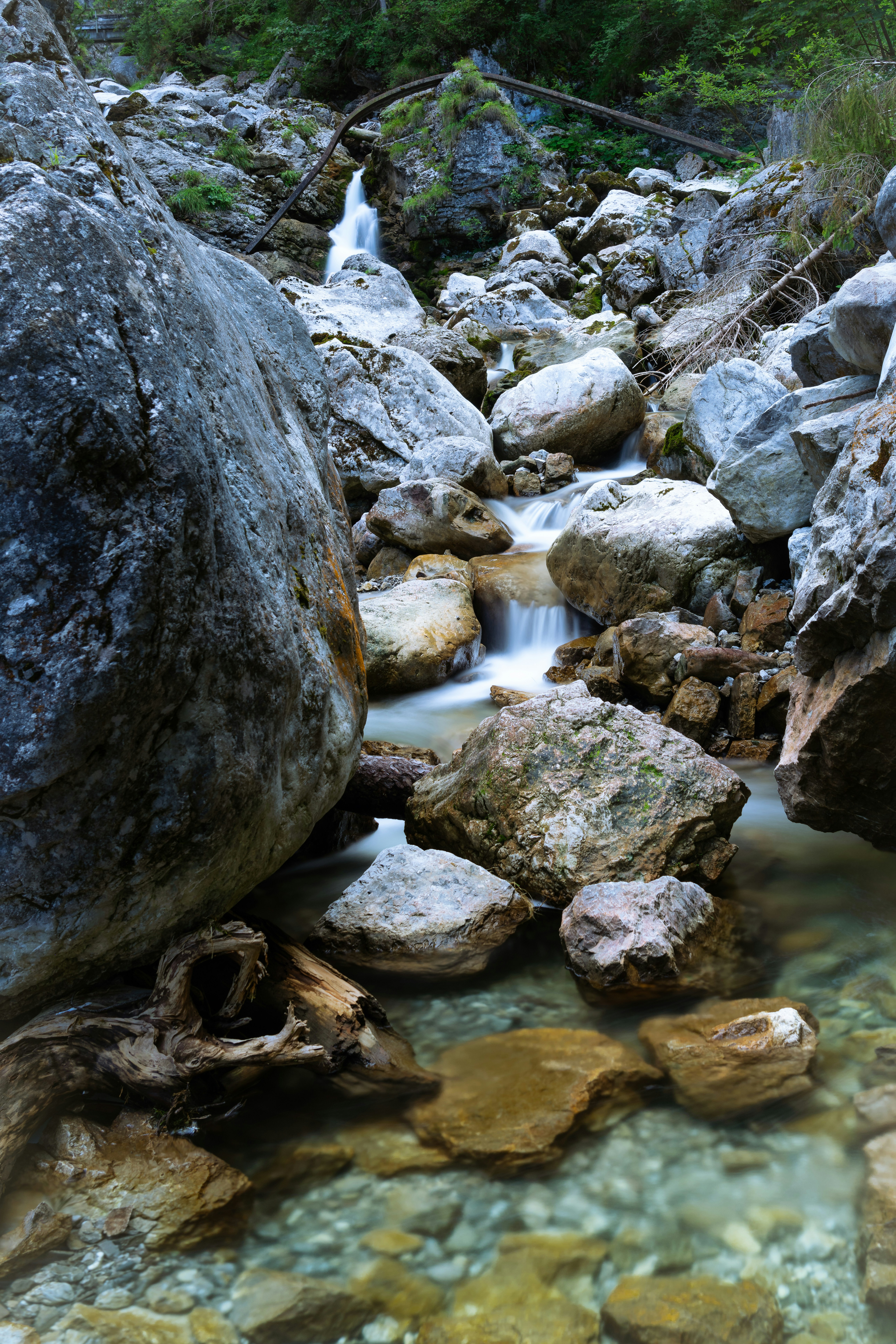 Photo by picture_scape