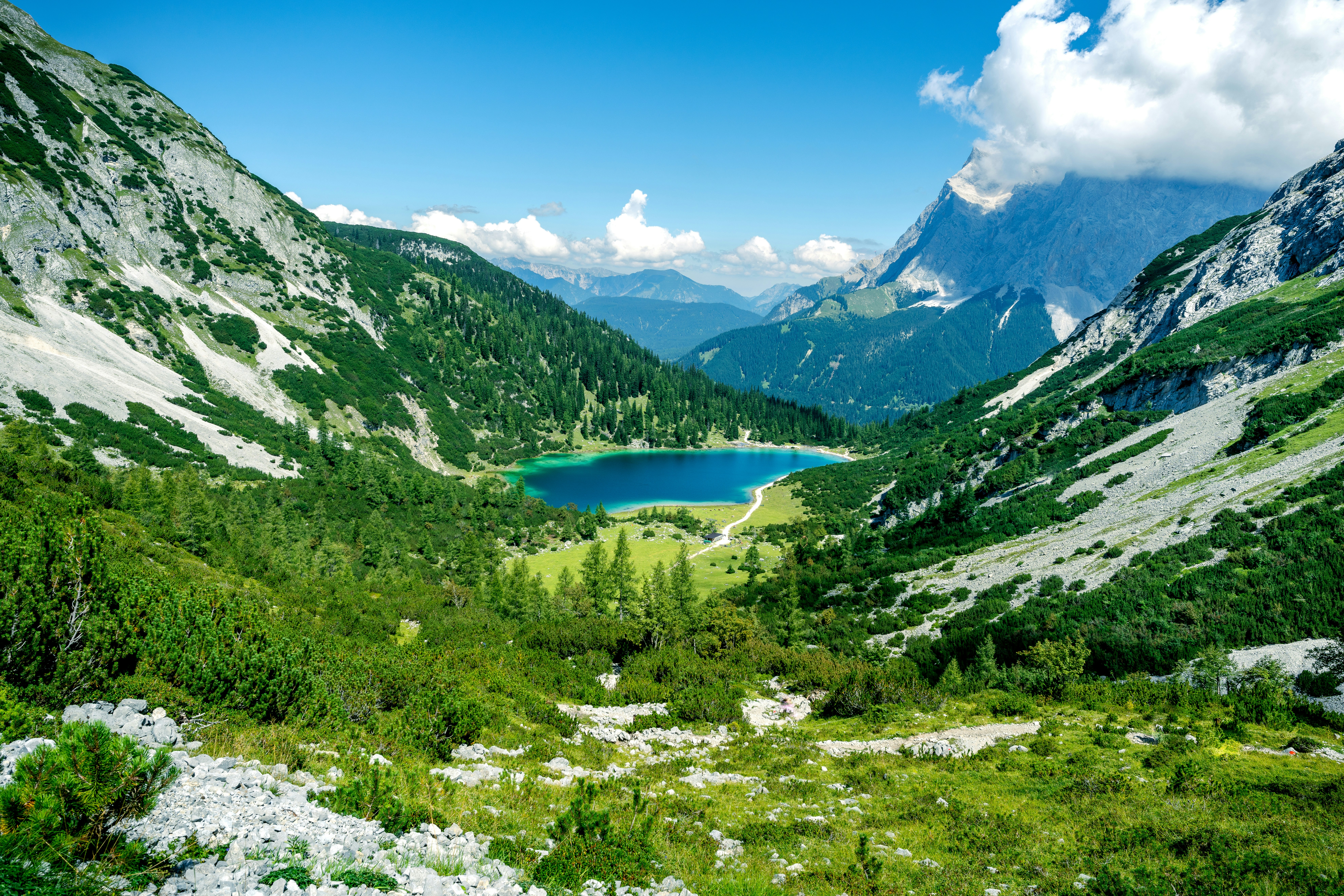 Photo by picture_scape