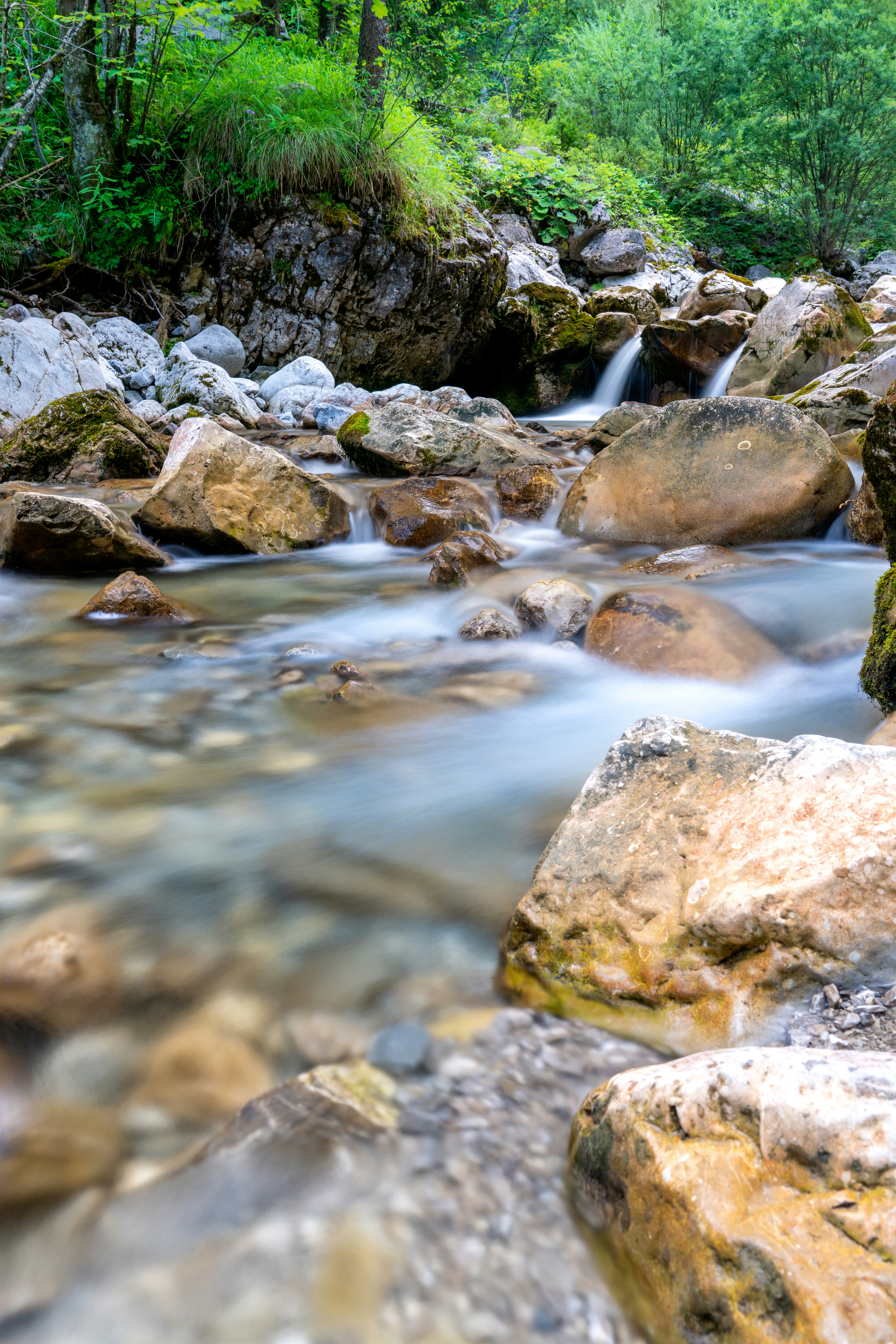 Photo by picture_scape