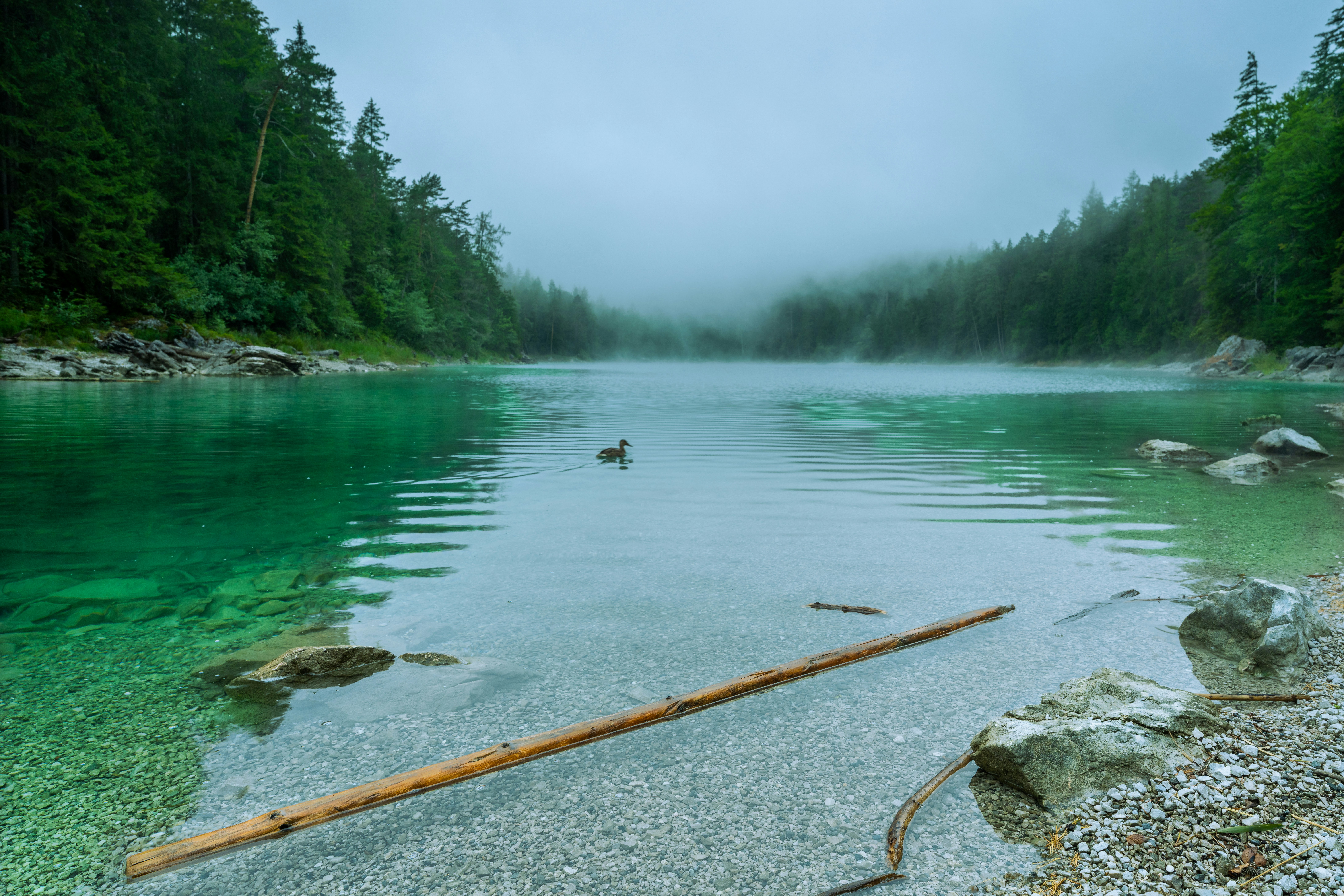 Photo by picture_scape