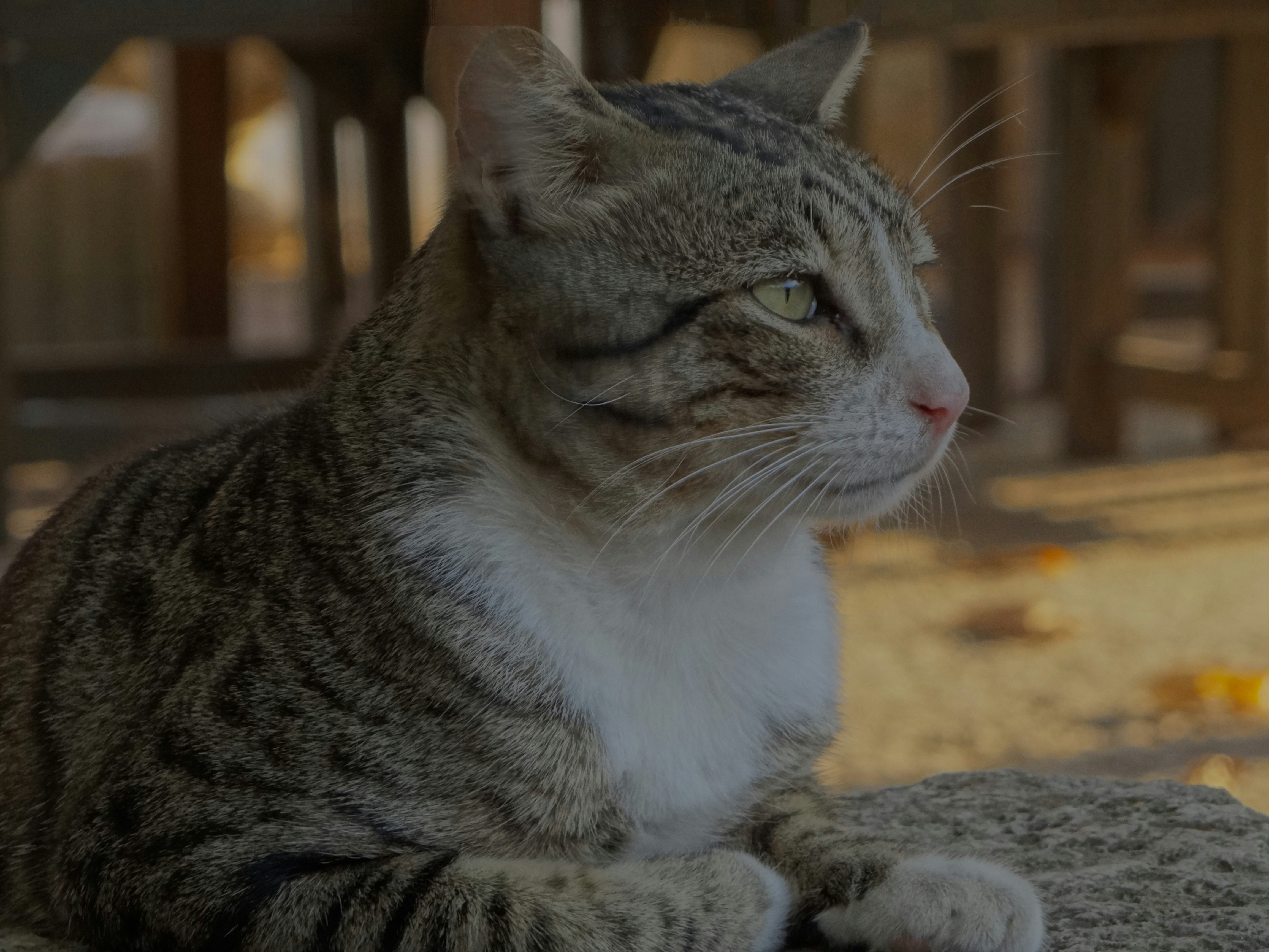 Photo by julia_fiander