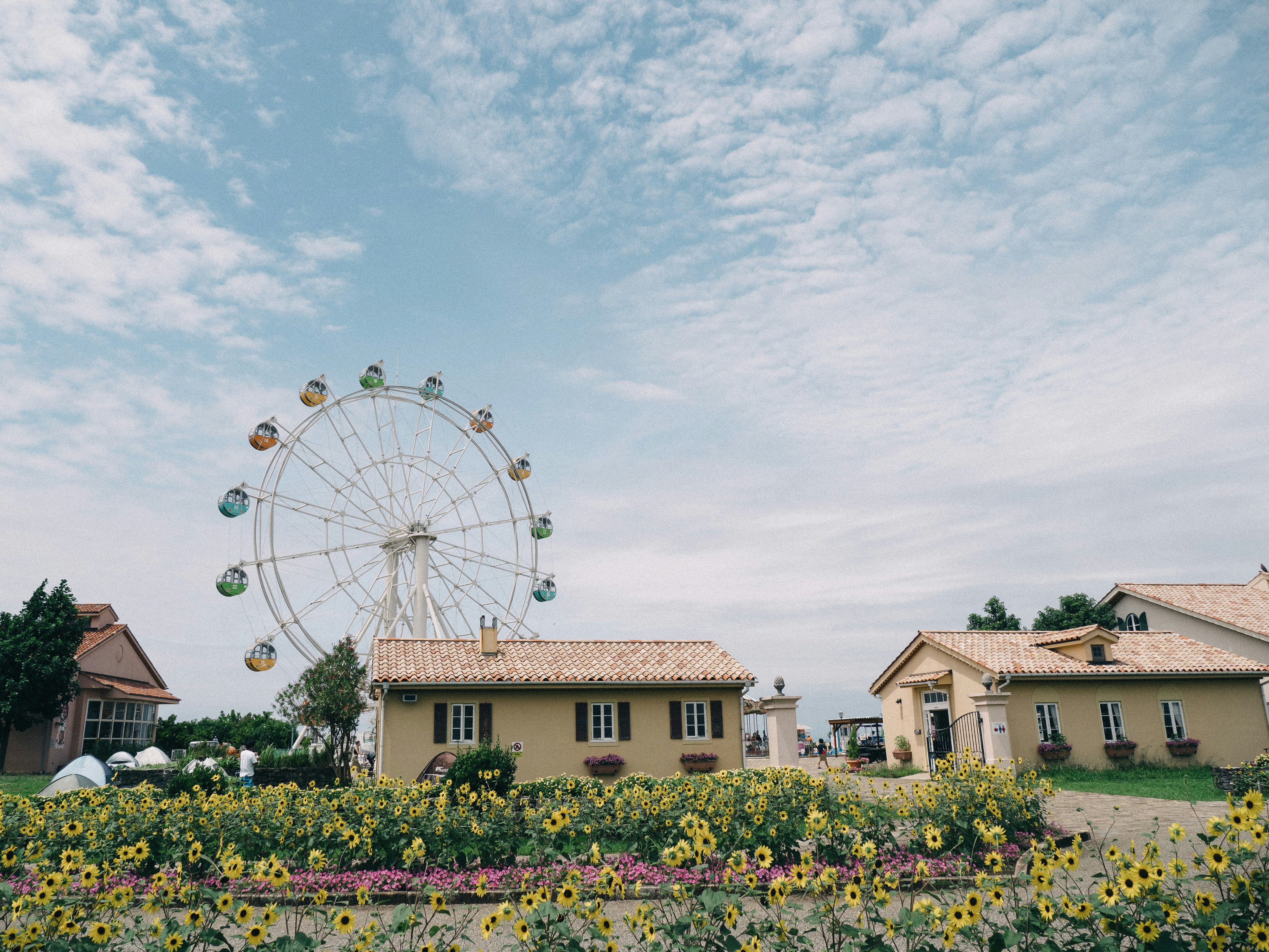 ferris wheel