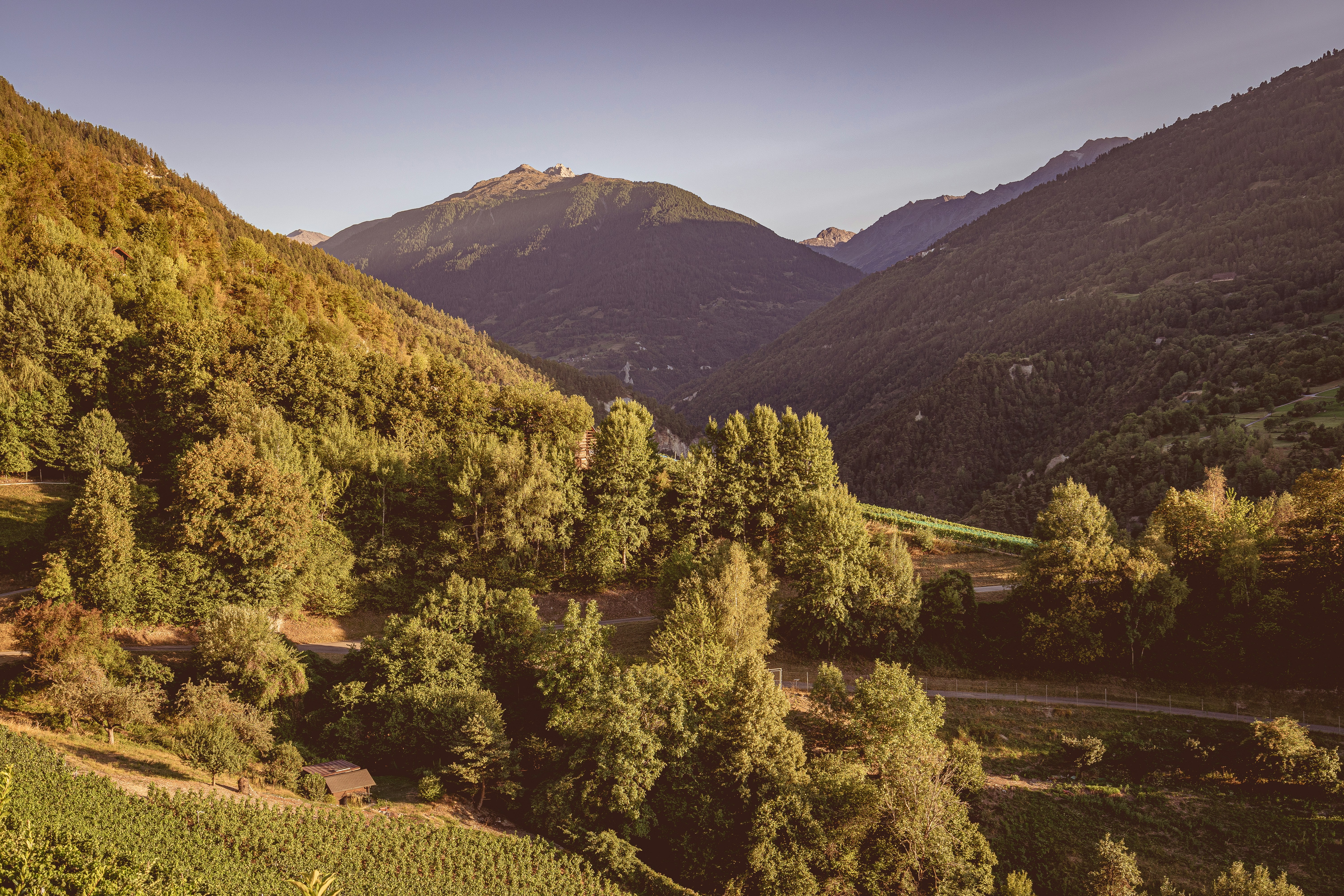 REGULAR SWISS LANDSCAPE