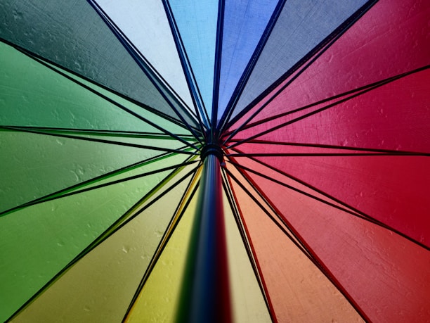 A sleek umbrella showcasing ergonomic design and vibrant colors.