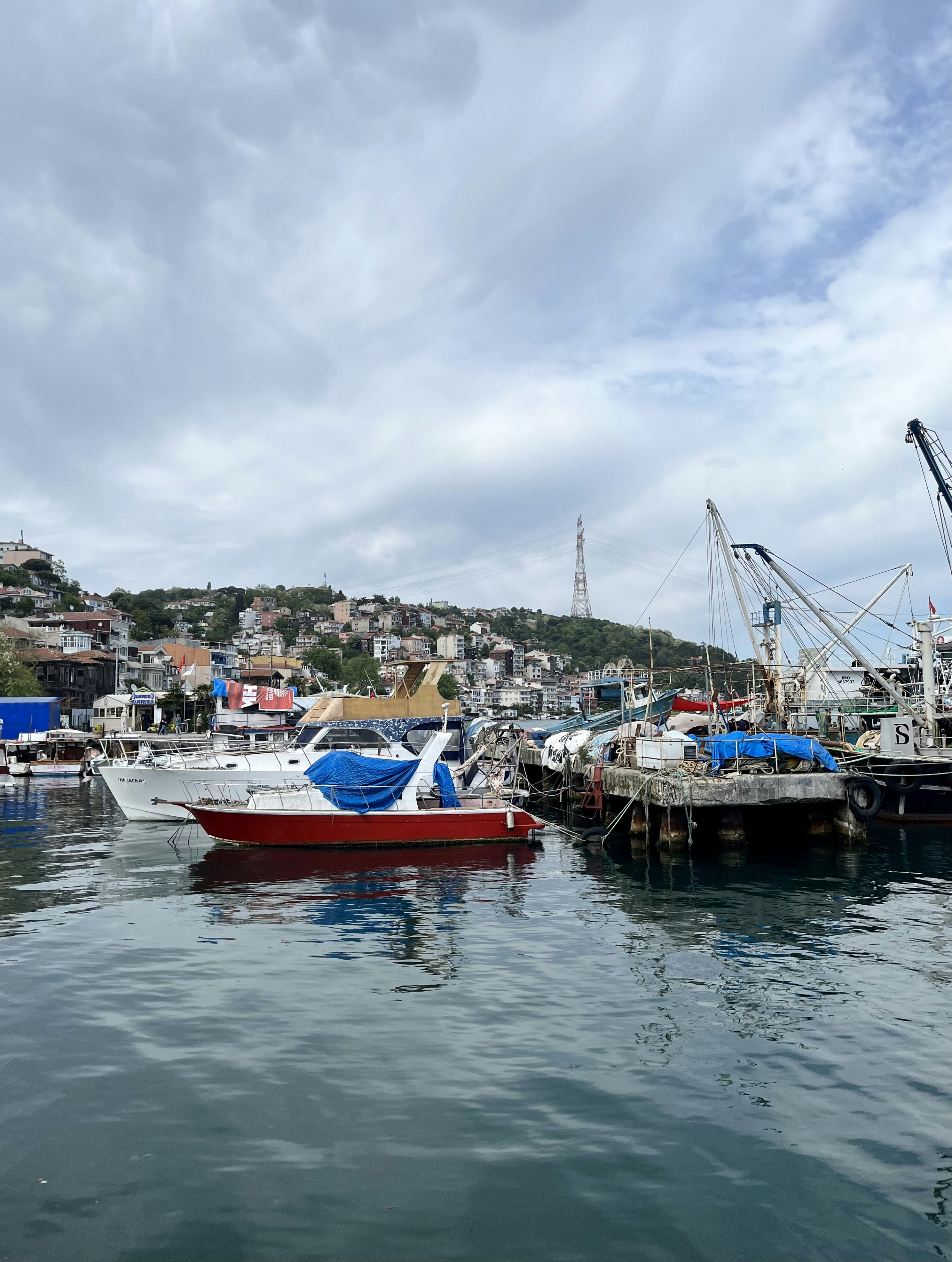 Photo by ezgideliklitas