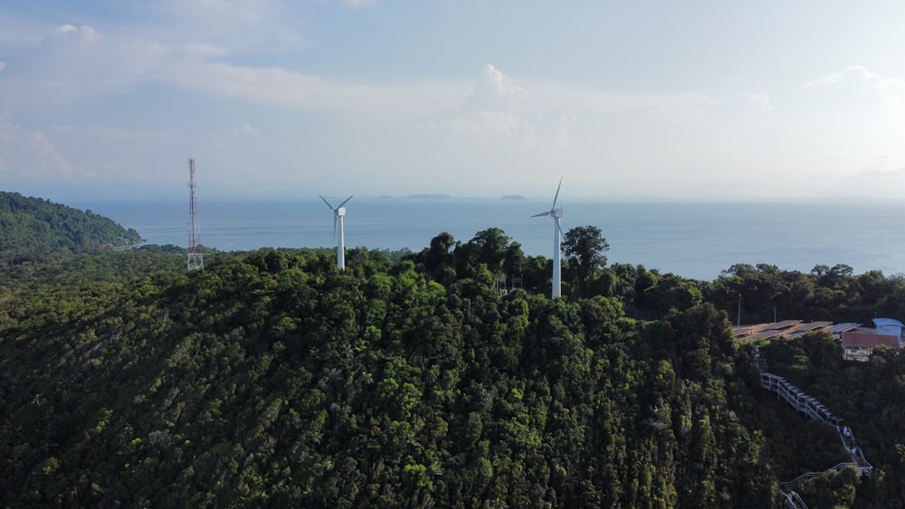a group of wind turbines in a forest