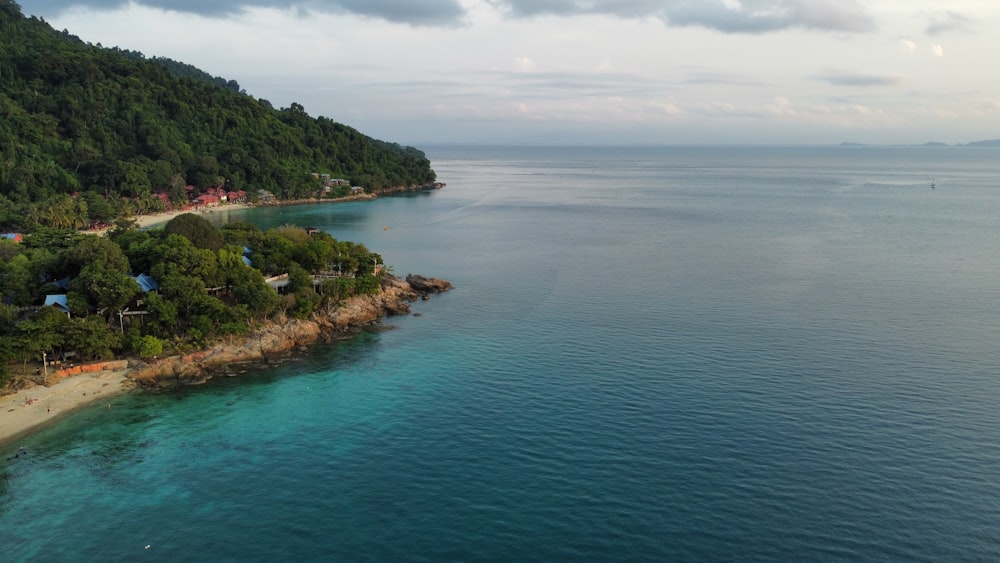 a body of water with trees and buildings along it