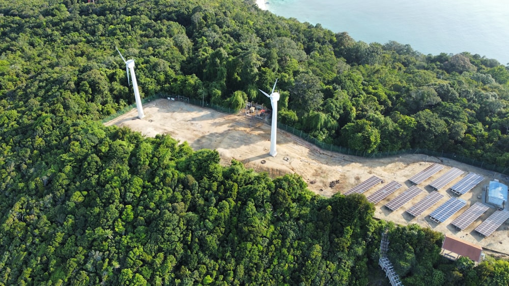 a group of windmills in a forest