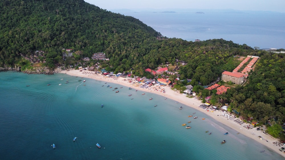 a beach with many people on it