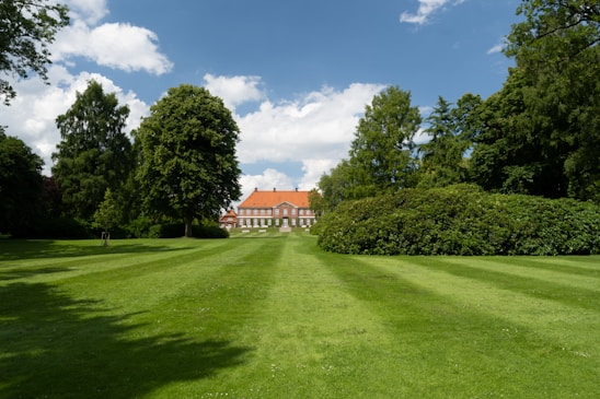A welcoming image of the school building surrounded by greenery.