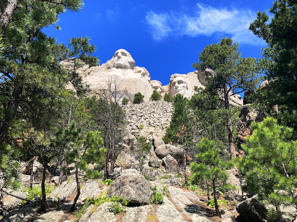 a rocky mountain with trees