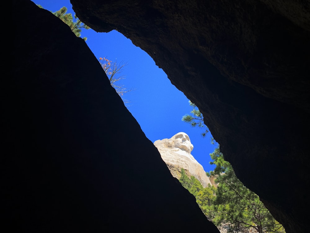 a view of a cave with a rock formation and trees