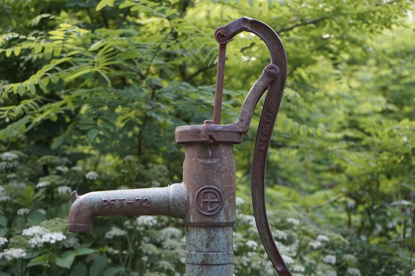 Septic system service in a residential yard