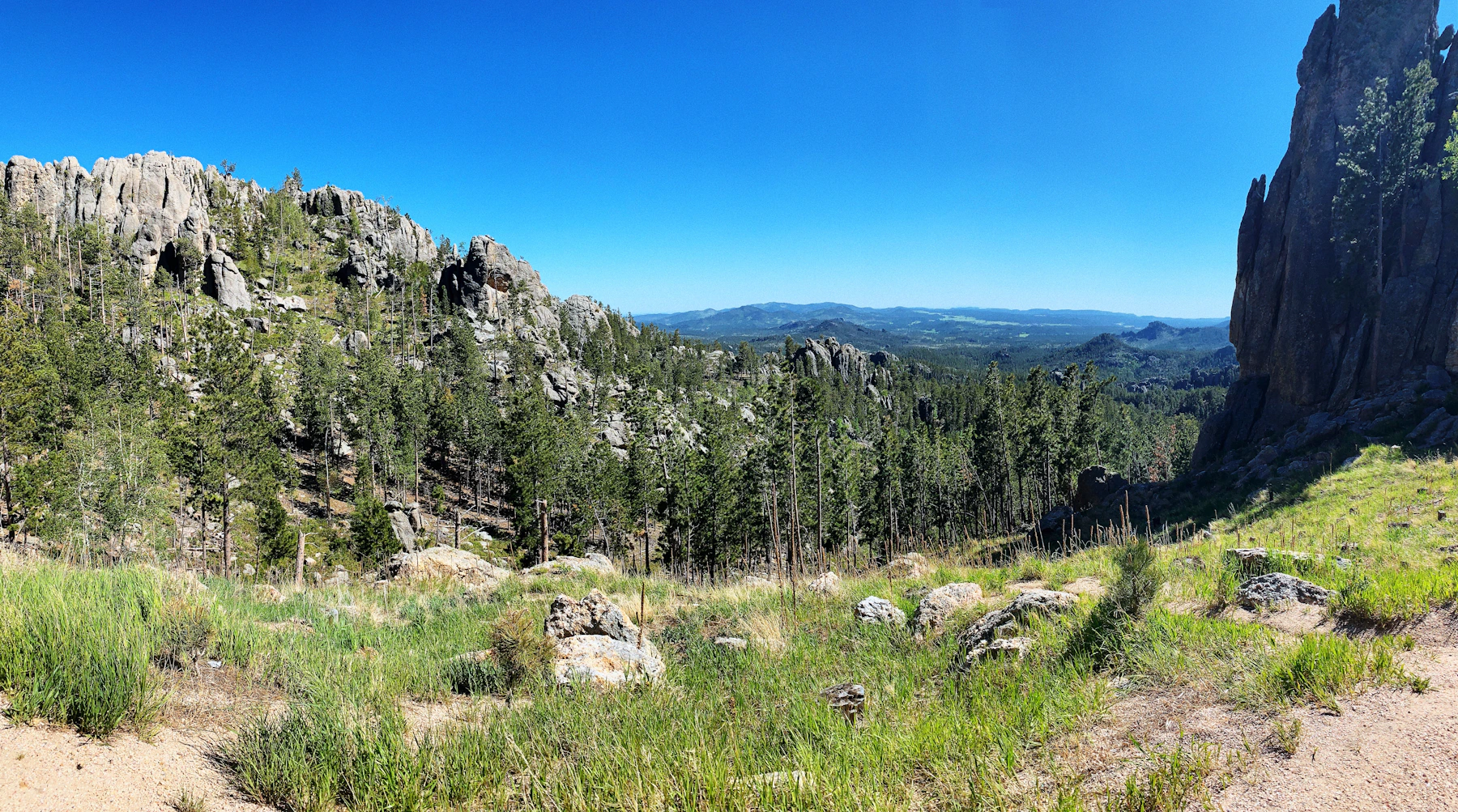 Black Hills landscape near Rapid City, South Dakota