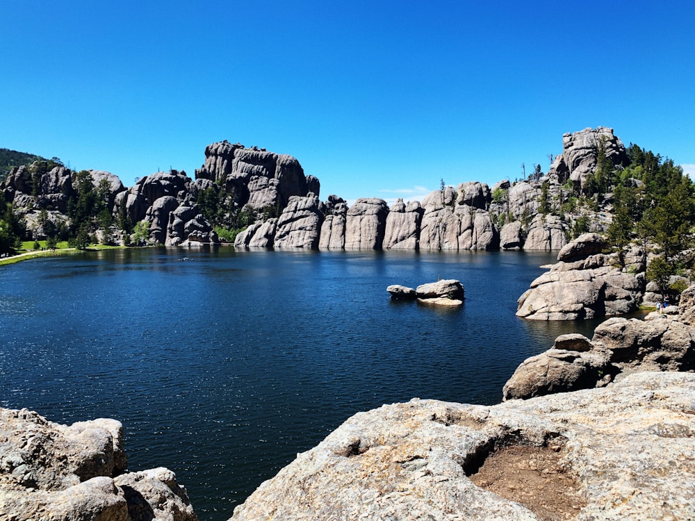 a rocky shoreline with a body of water and trees