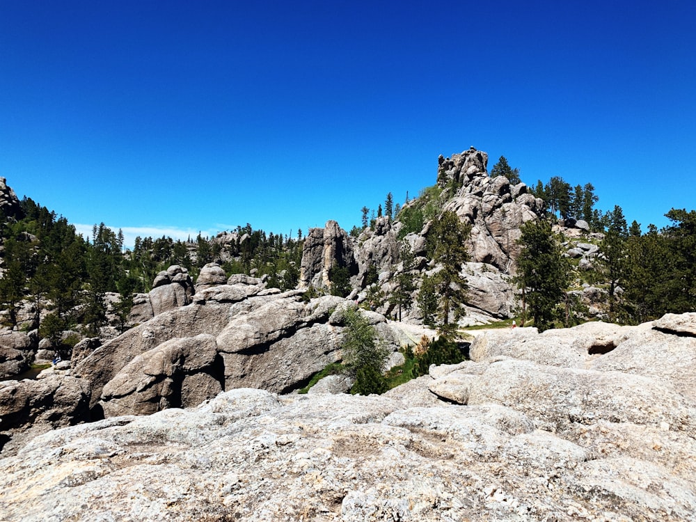 a rocky mountain with trees