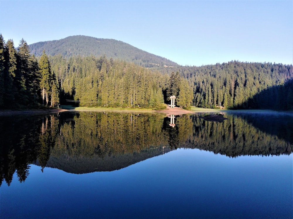 a lake surrounded by trees and mountains