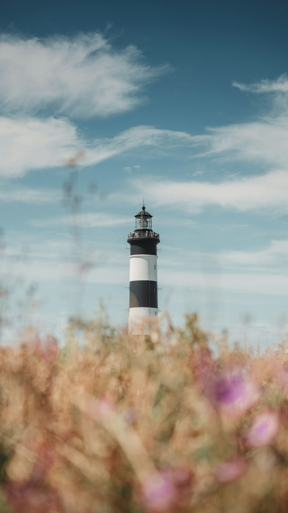 a lighthouse in a field