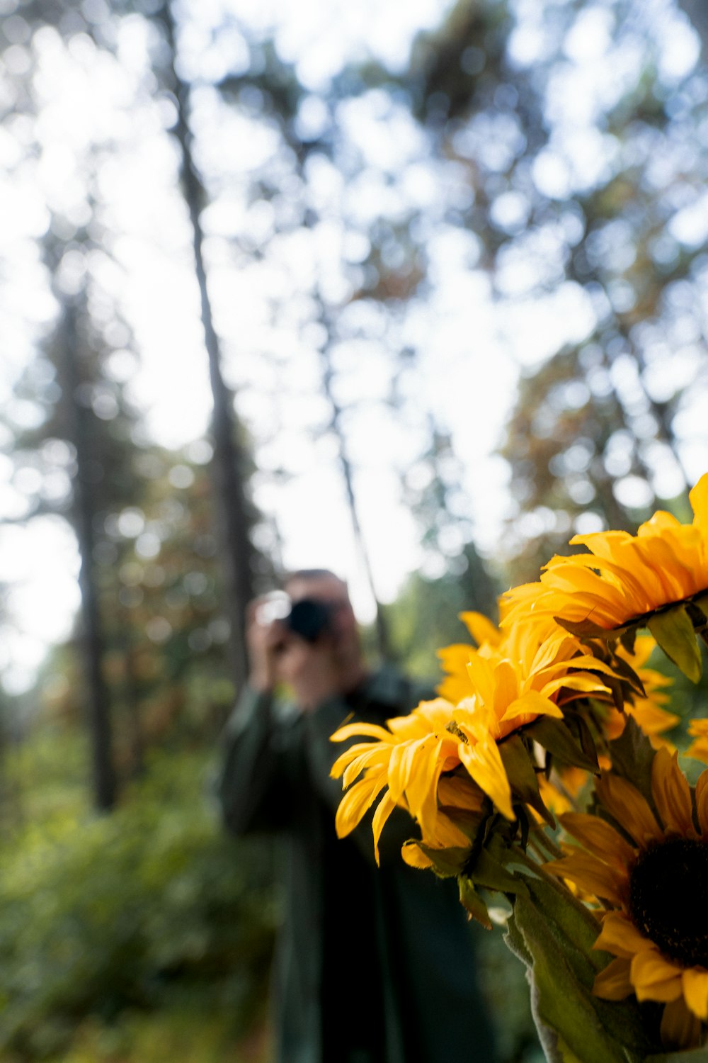 a person taking a picture of a flower