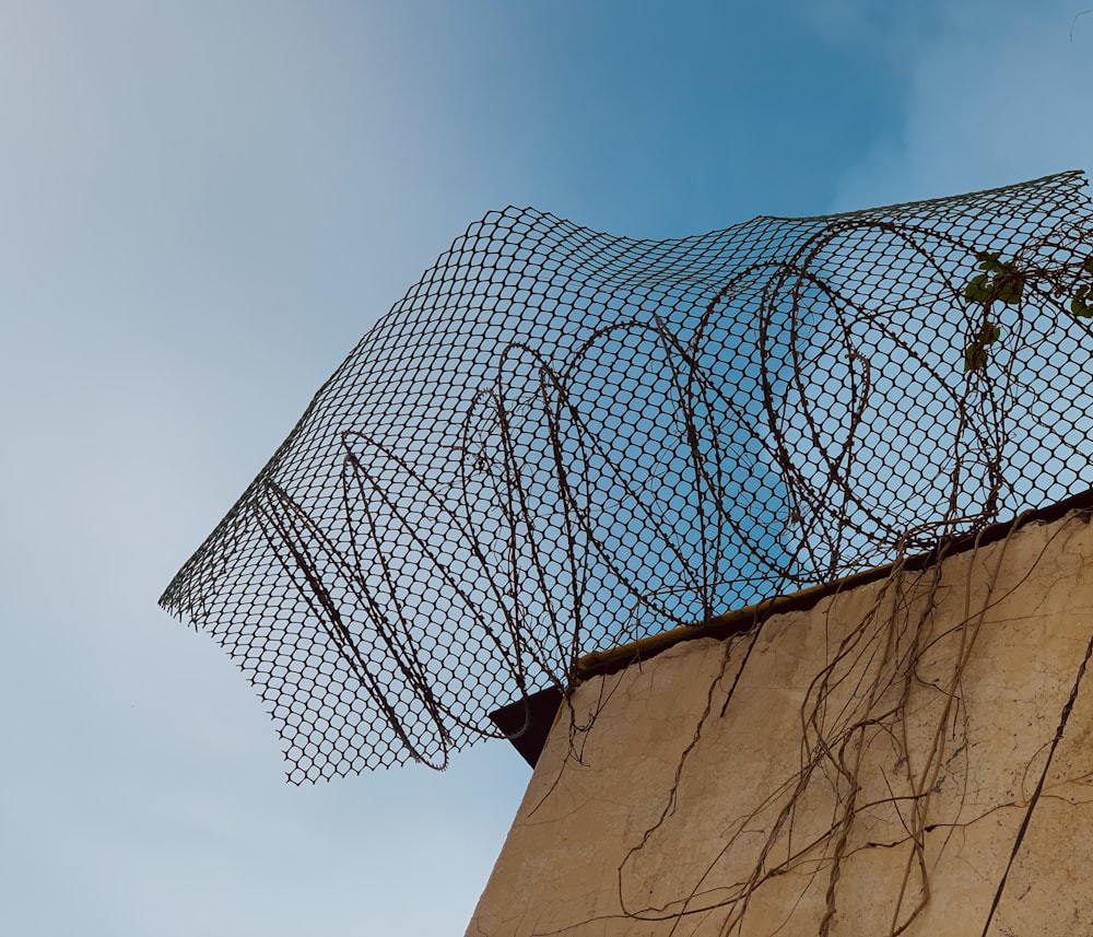 a close-up of a net