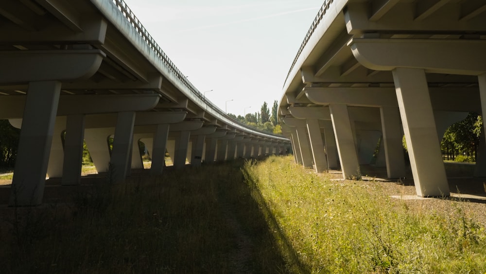 a long shot of a bridge