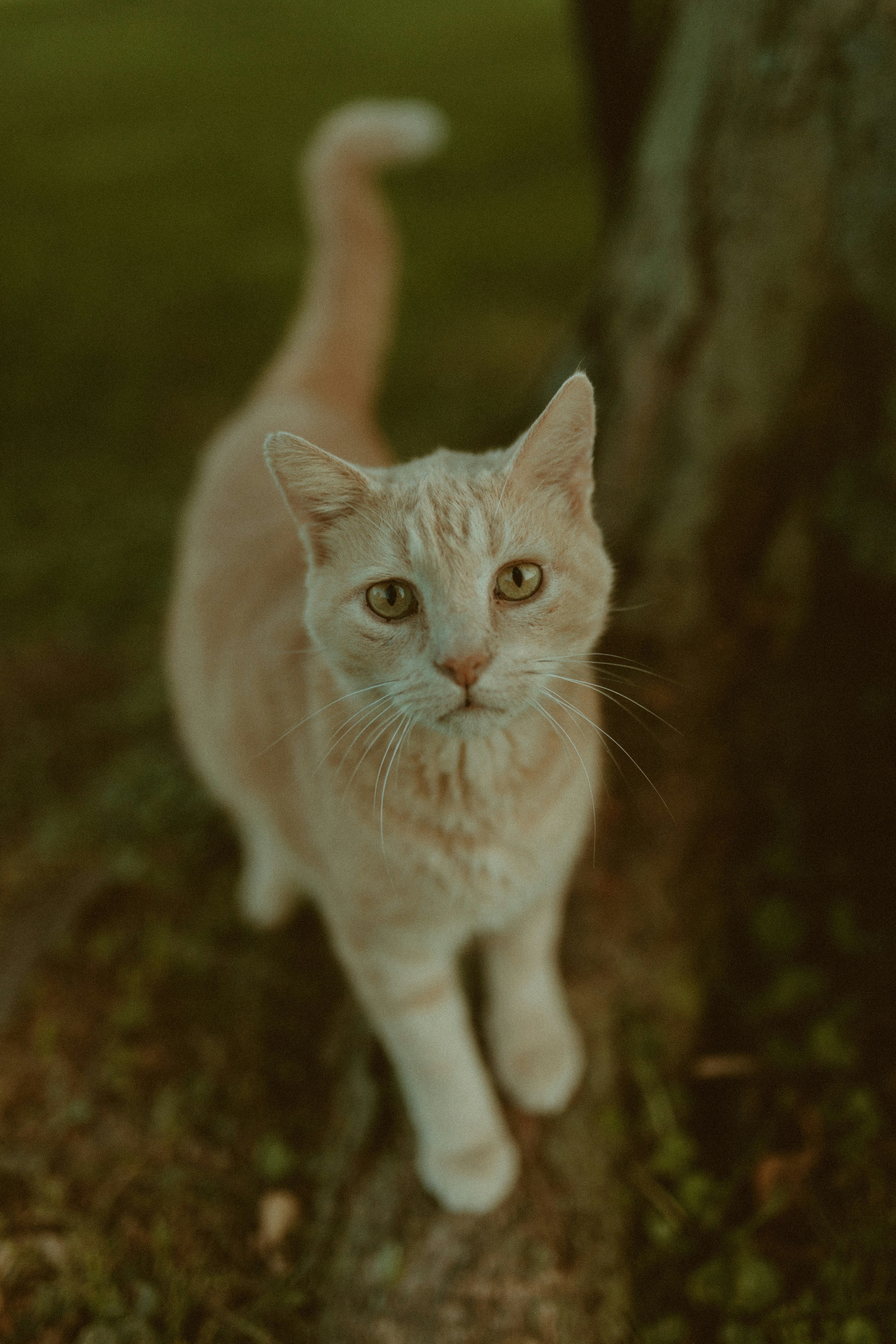 Photo by shelbypieperphoto