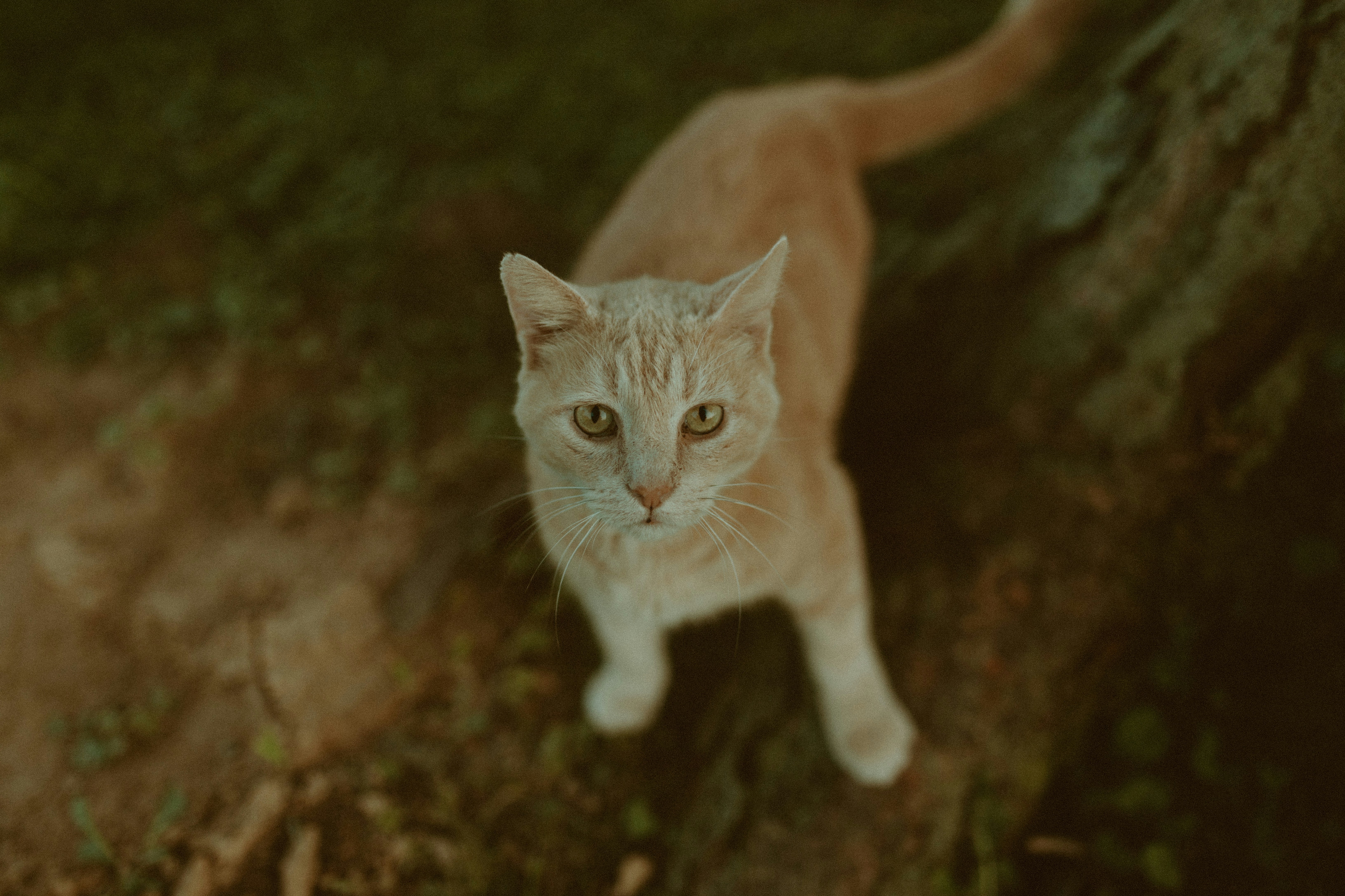 Photo by shelbypieperphoto