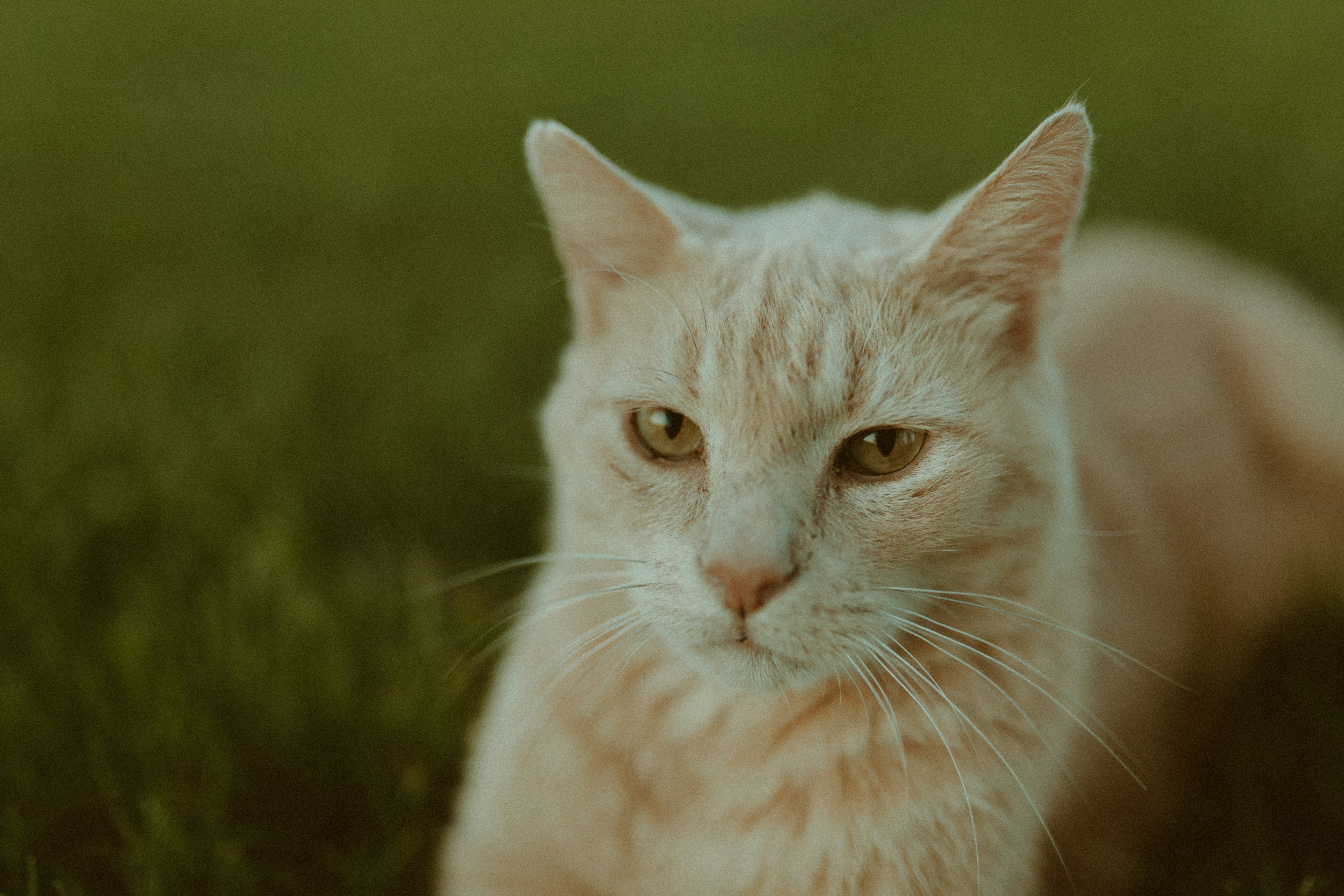 Photo by shelbypieperphoto