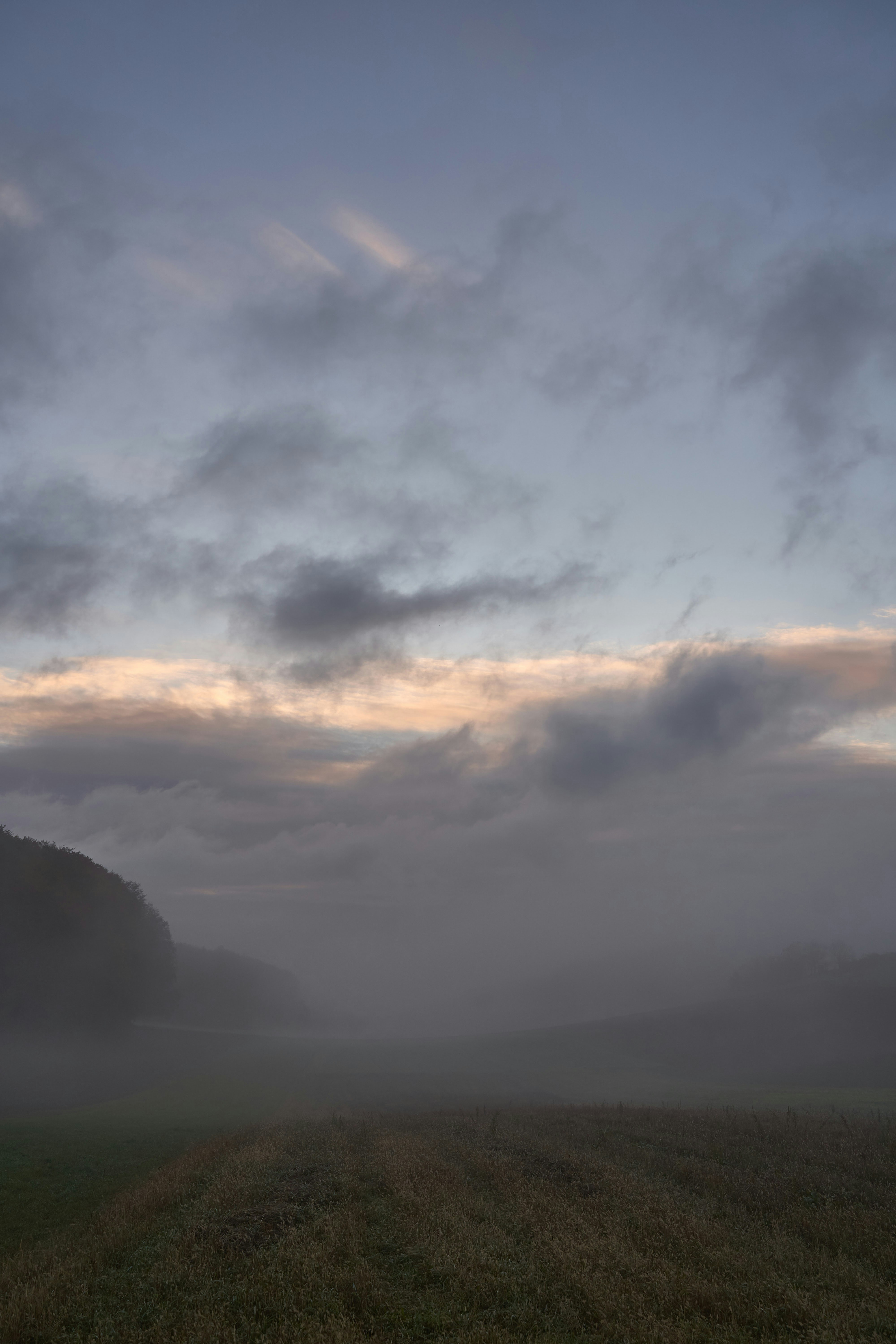 Photo by wolfgang_hasselmann