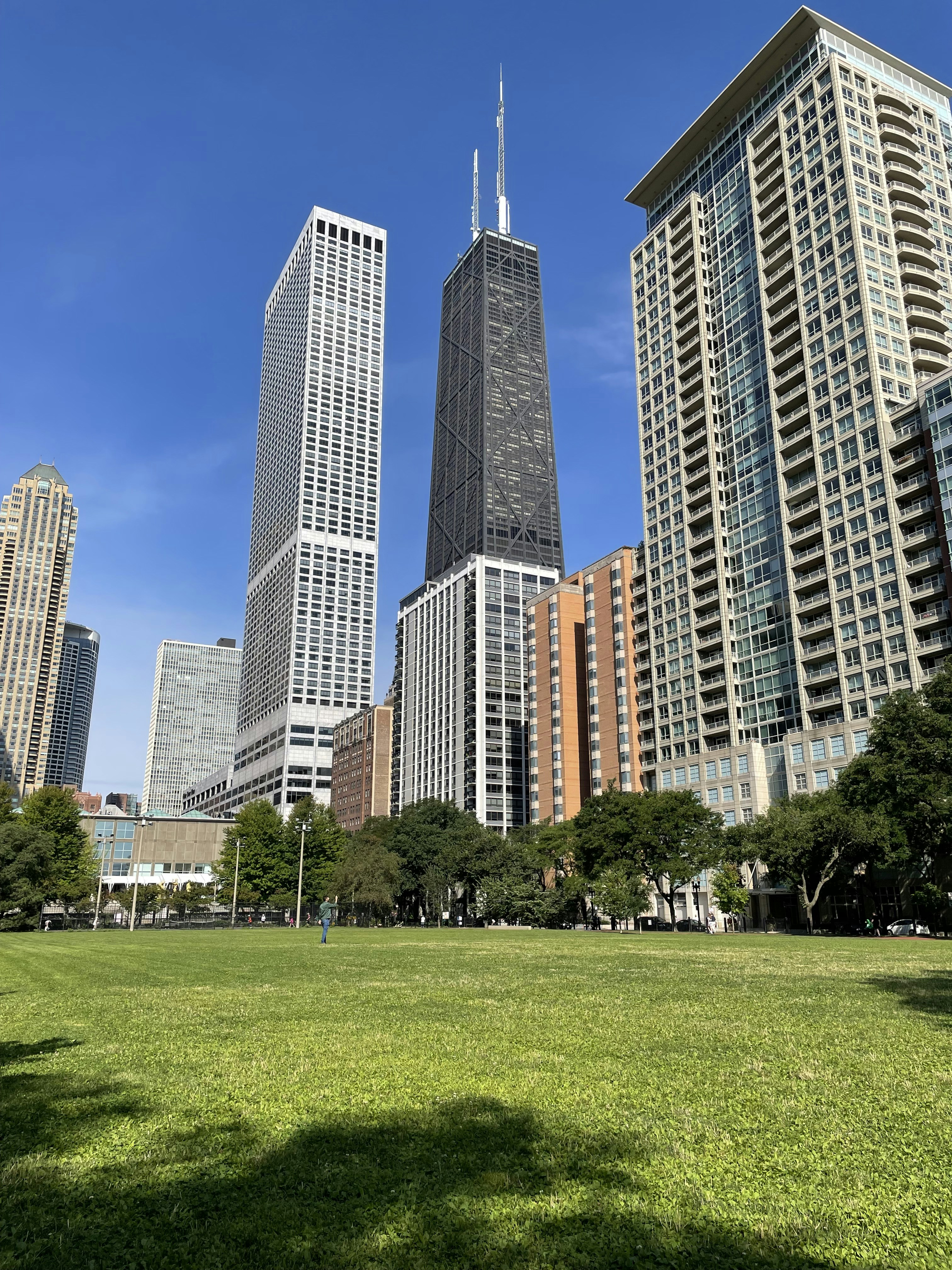a grassy area with tall buildings in the background