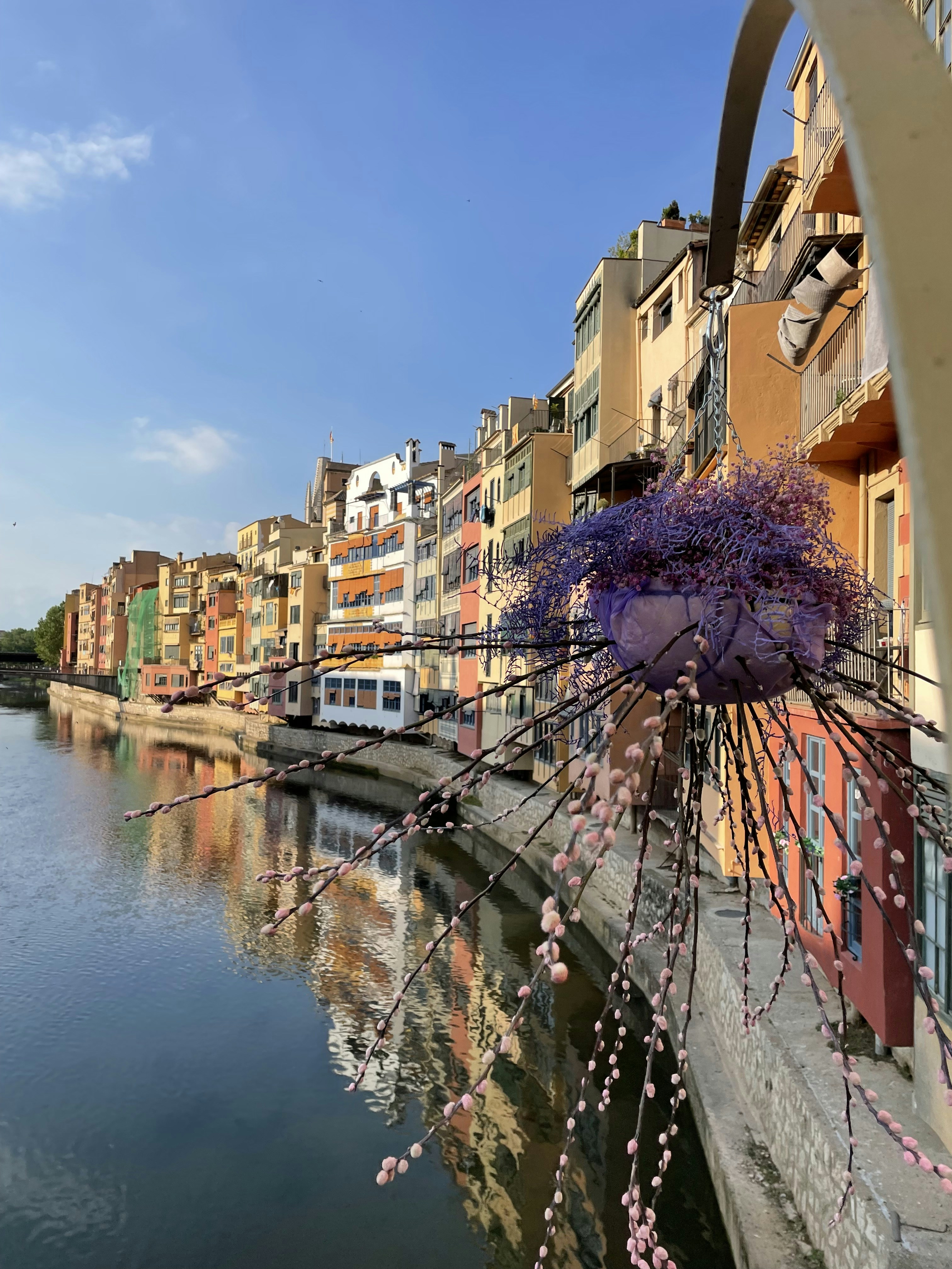 a flower bush on a building