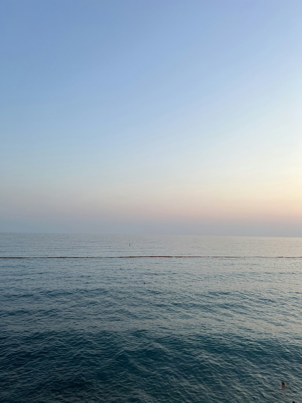 a body of water with a group of birds flying in the sky