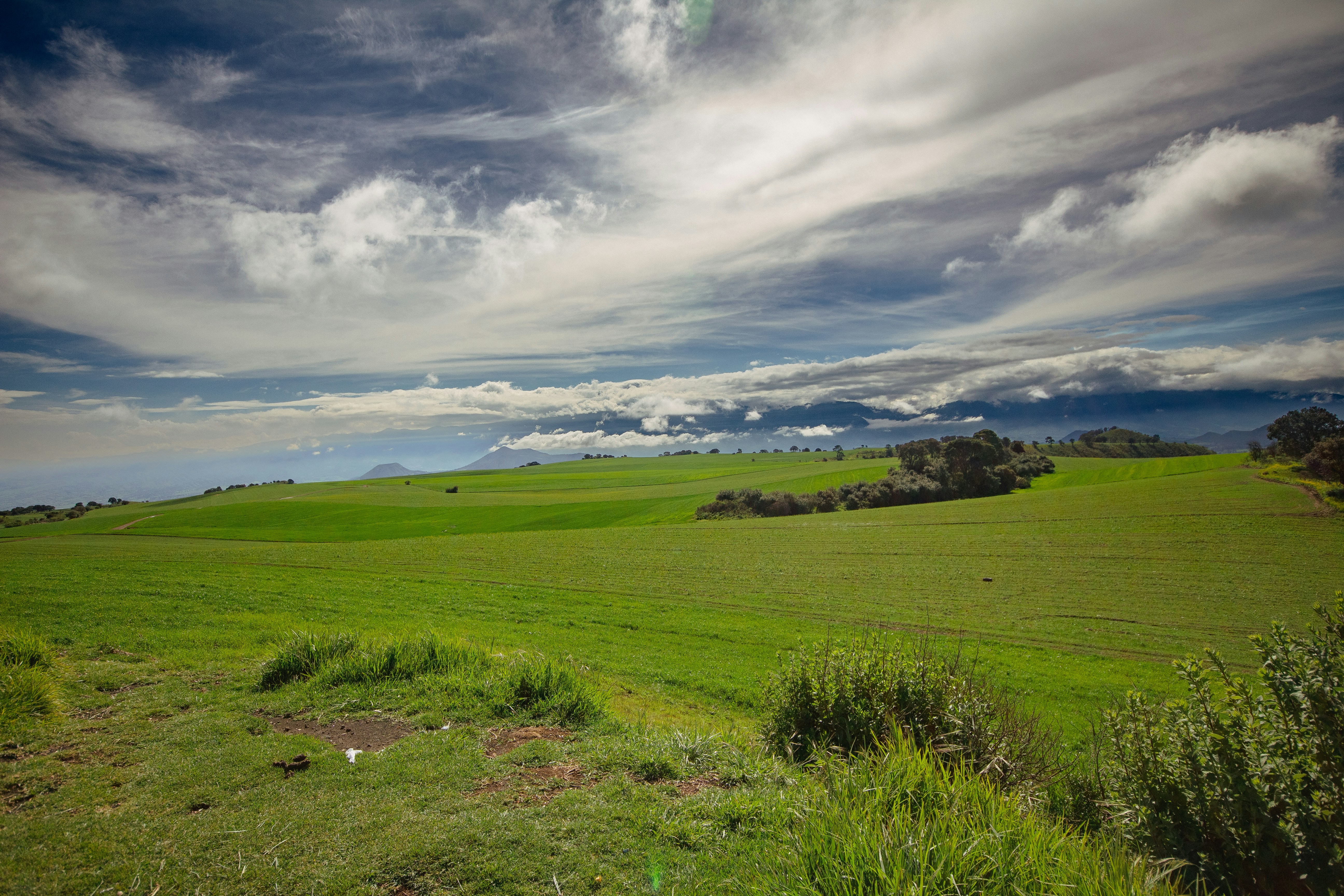 Photo by camaranegra