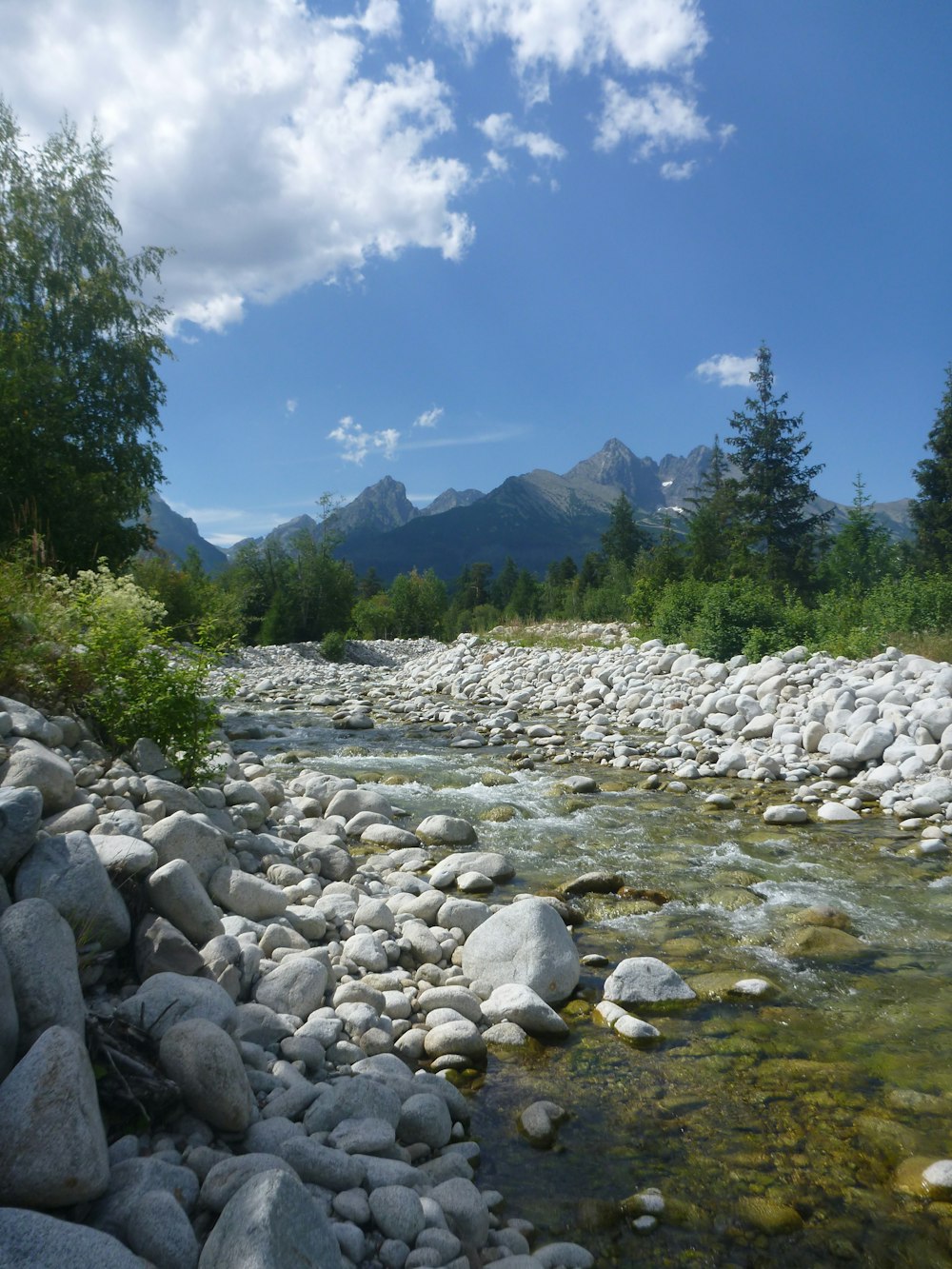 a river with rocks and trees