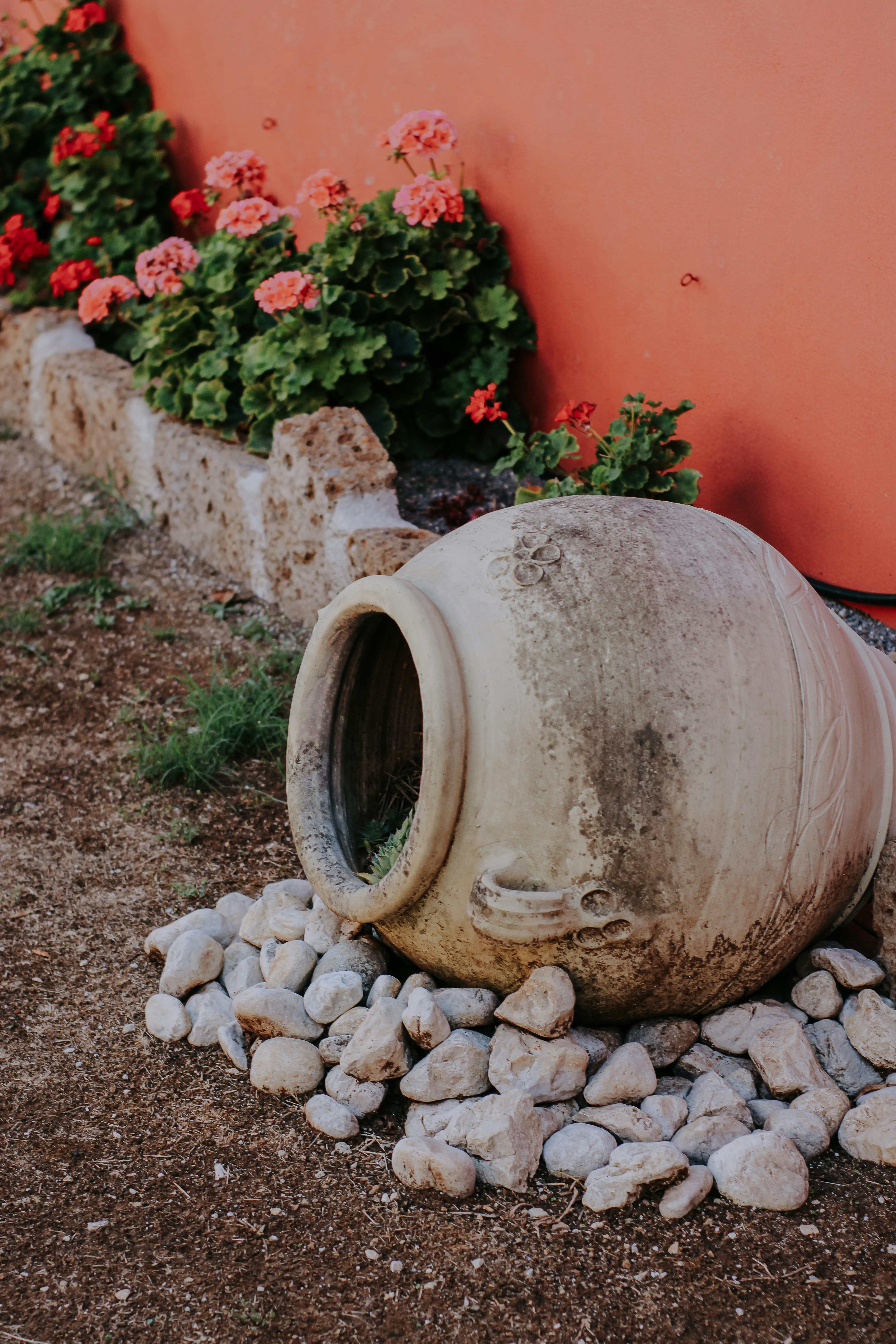 A metal pot with rocks and plants photo – Free Rubble Image on Unsplash