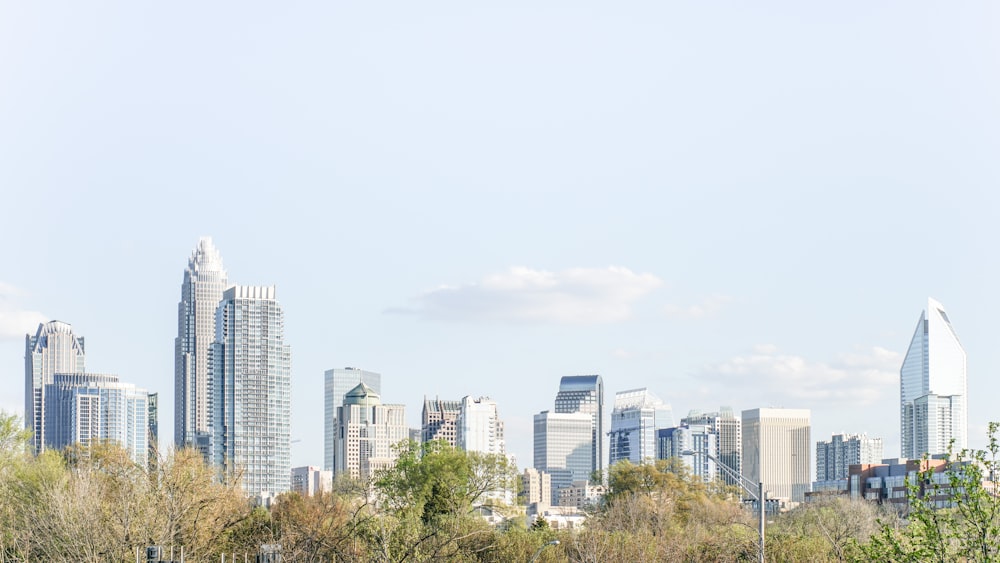 a city skyline with trees