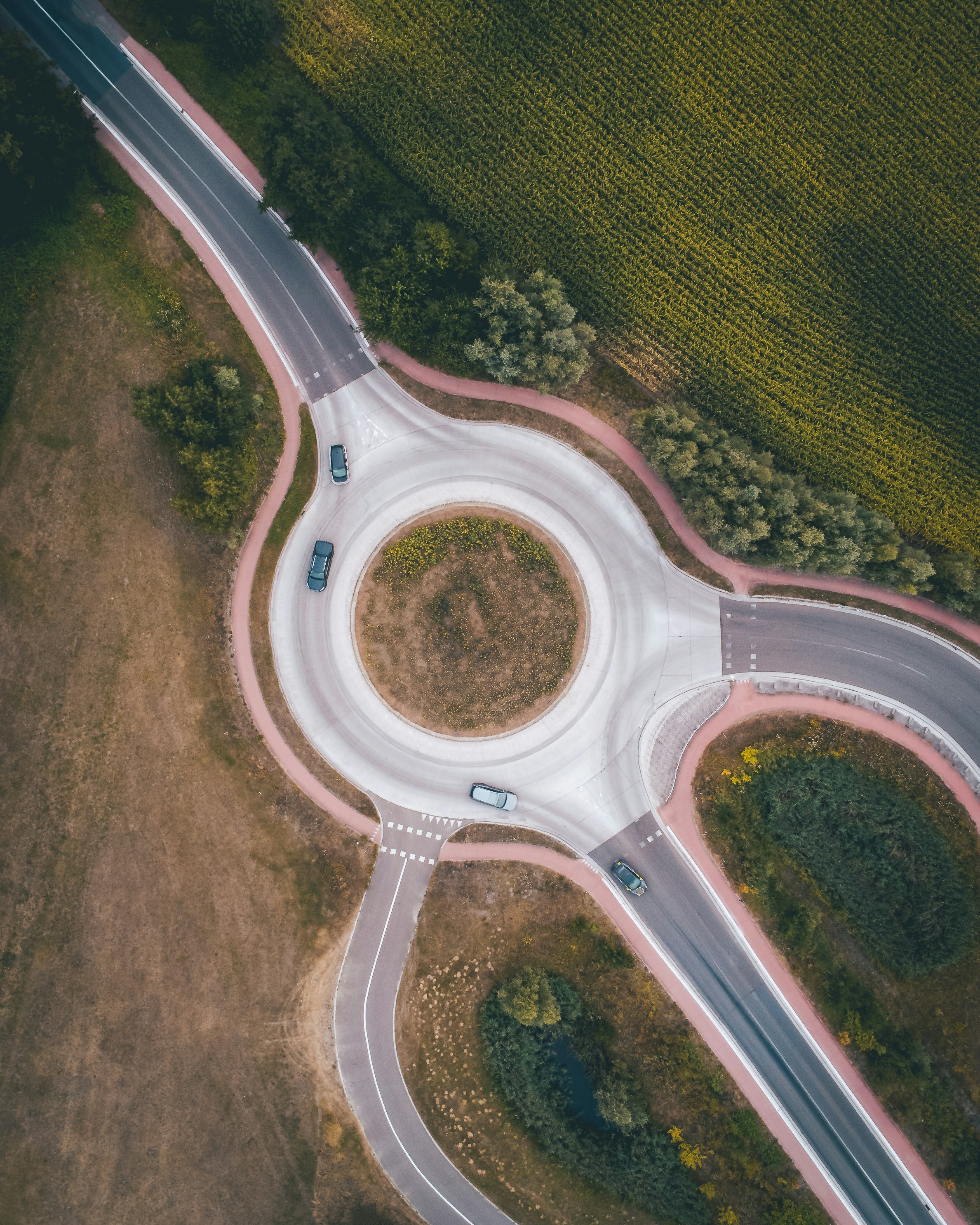 Photo by capturedbysony